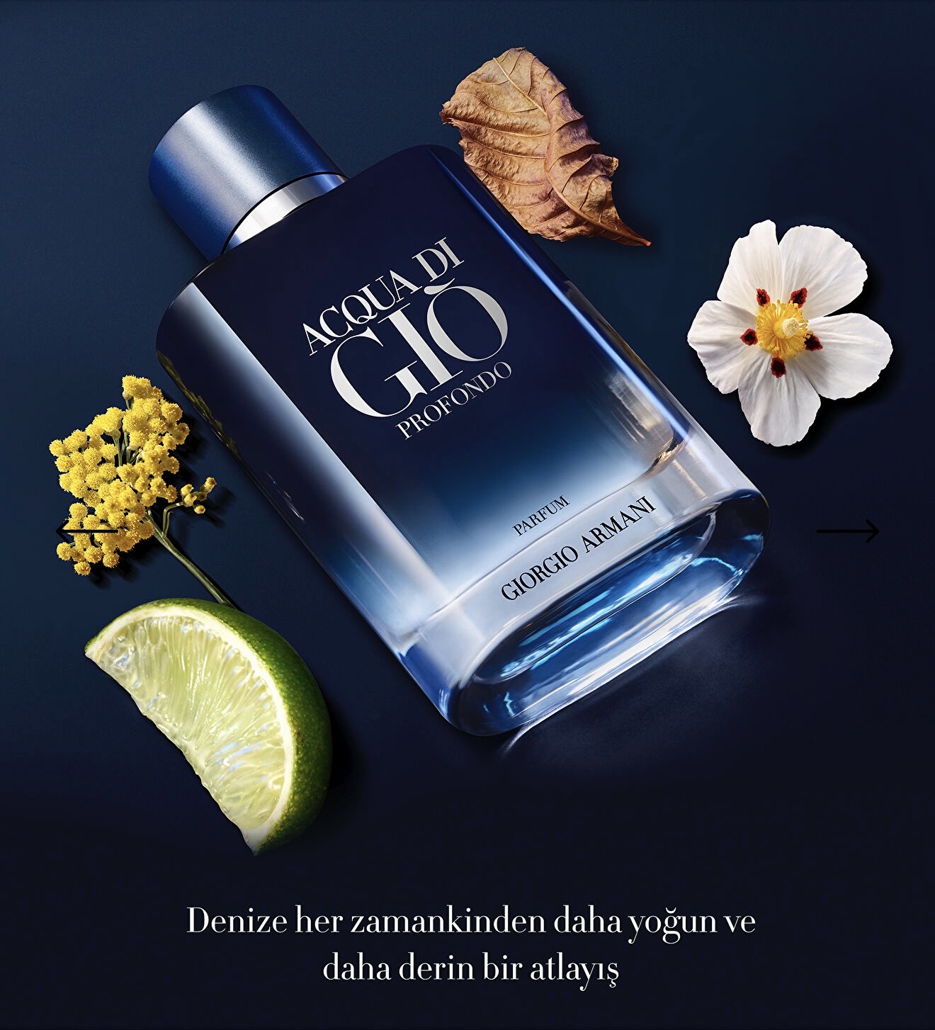 Armani Acqua Di Gio - Profondo Parfum