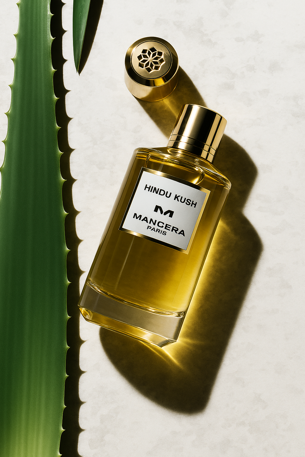 Mancera - Hındu Kush