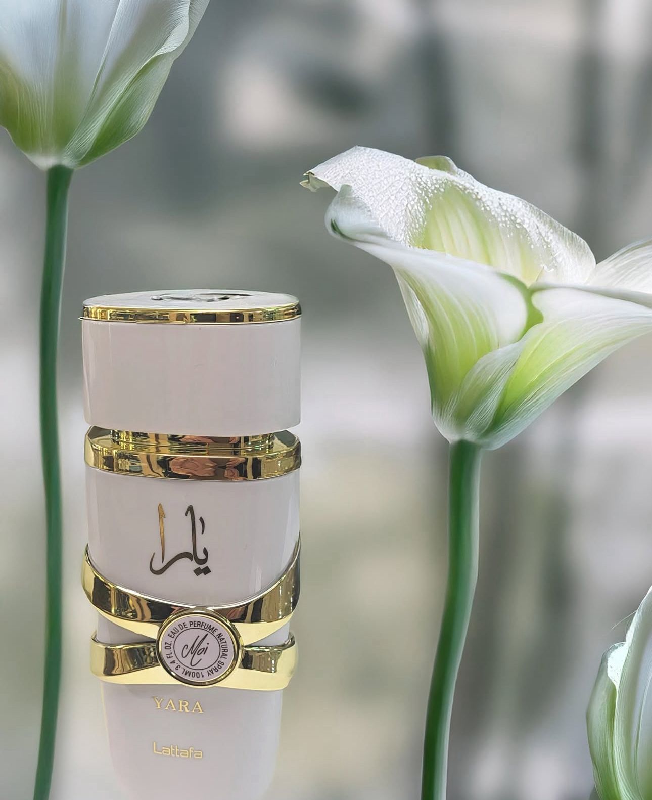 ✨ Lattafa Yara Moi Eau de Parfum (Marc Jacobs - Perfect Intense)