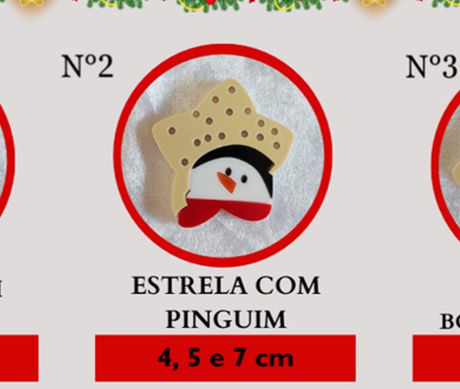Nº2 Estrela com Pinguim