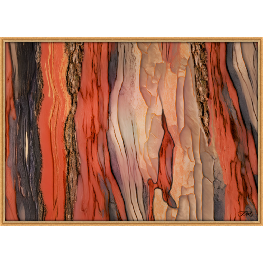 Abstract Tree Bark Framed Canvas