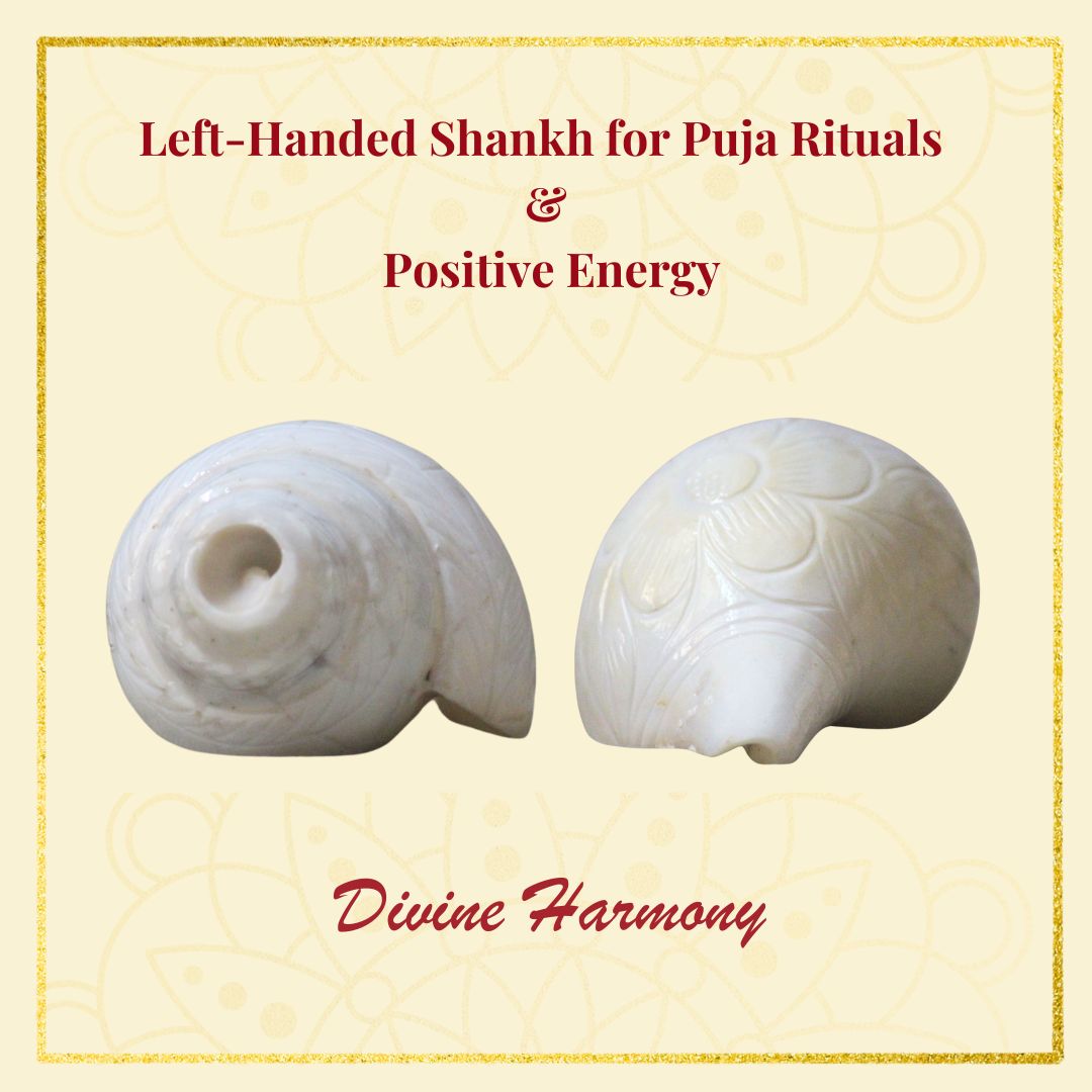 Hand-carved White Conch Shell