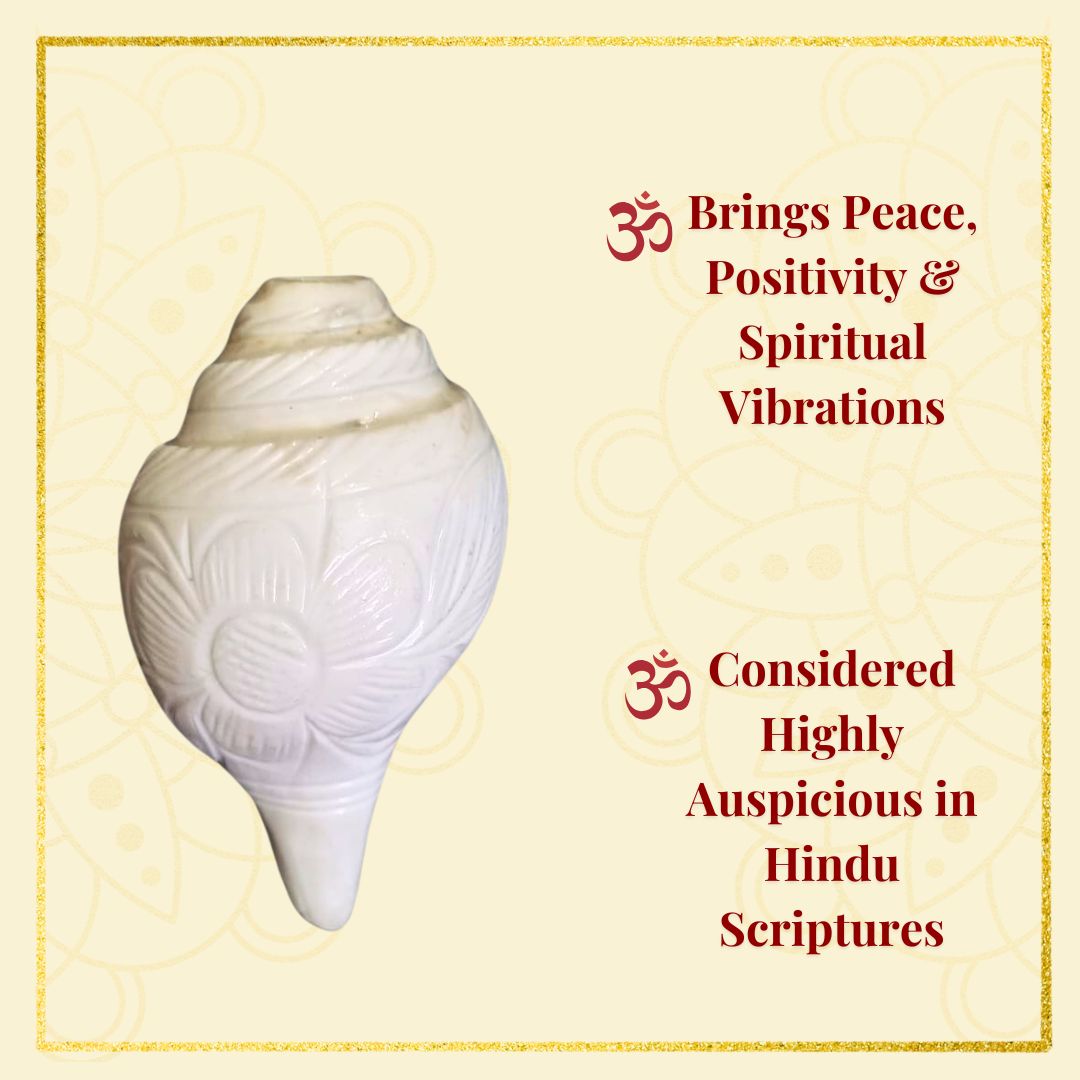 Hand-carved White Conch Shell
