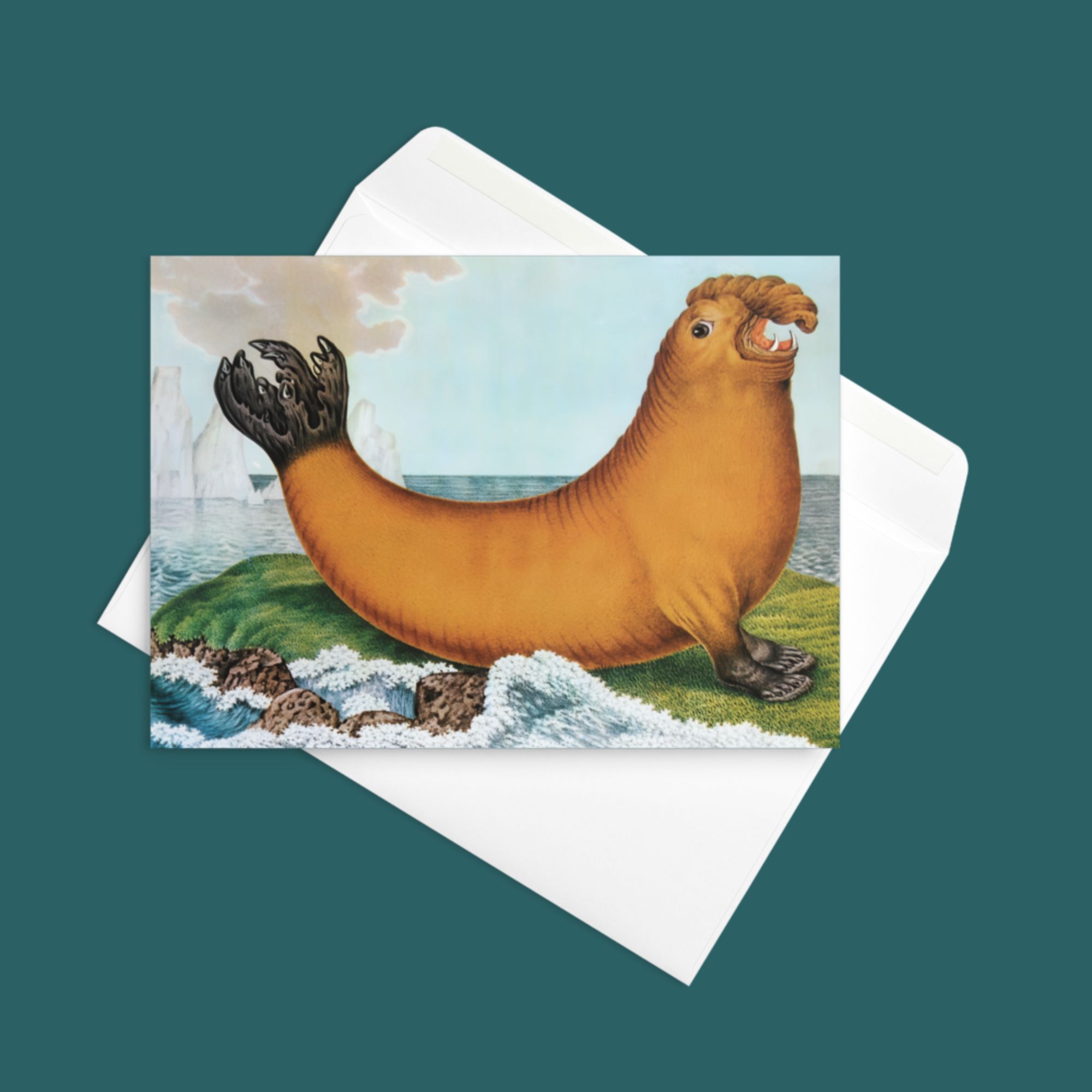 Elephant Seal