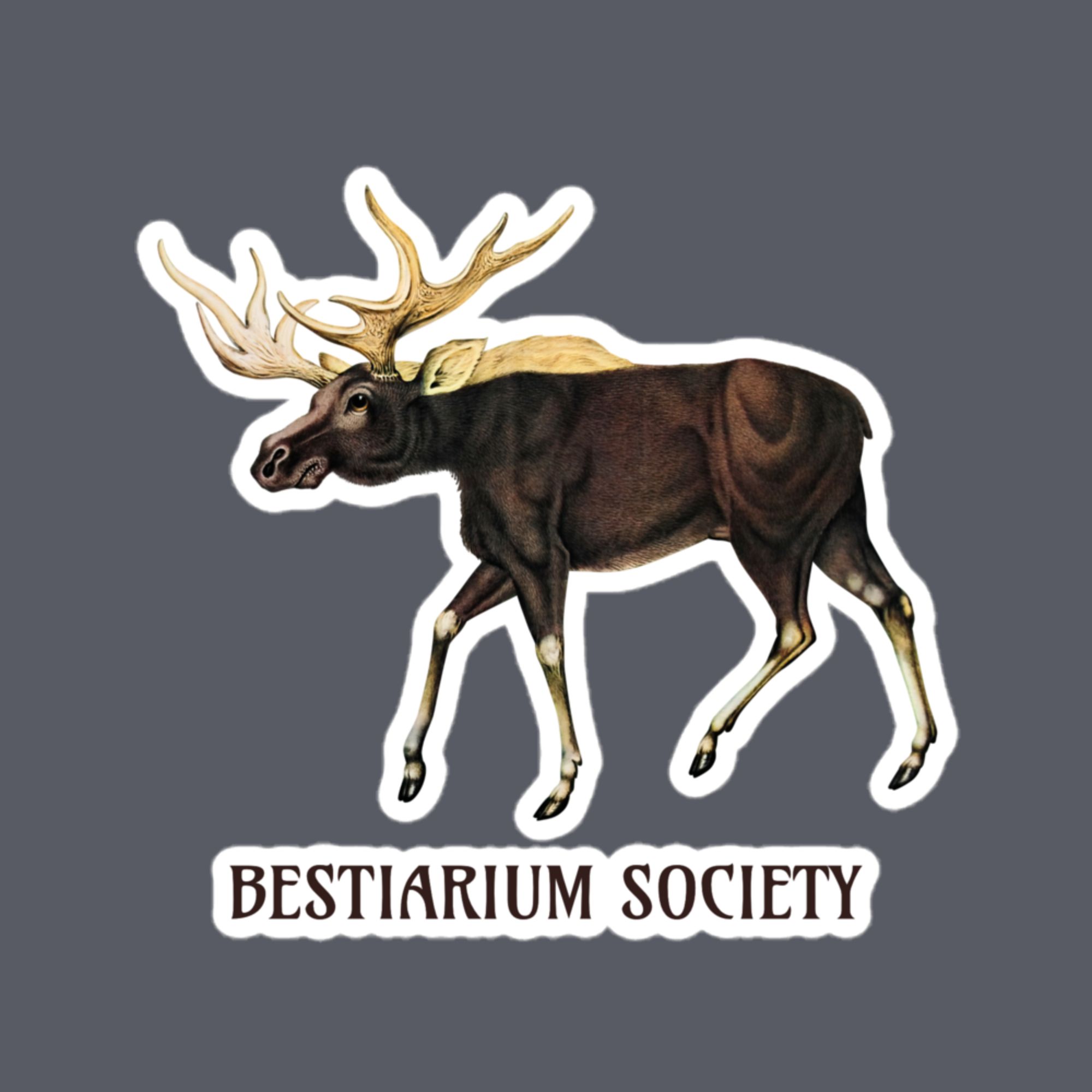 Moose