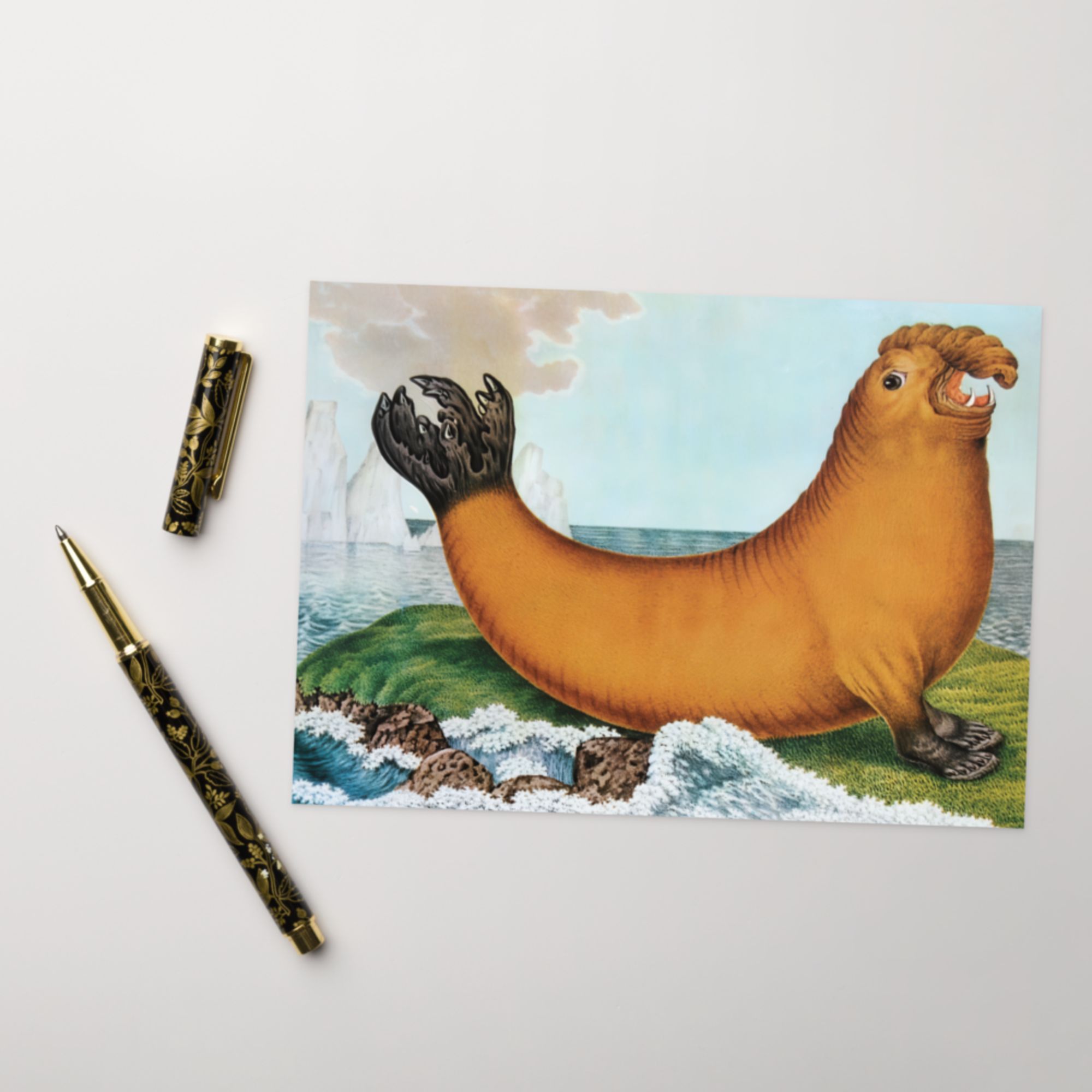 Elephant Seal