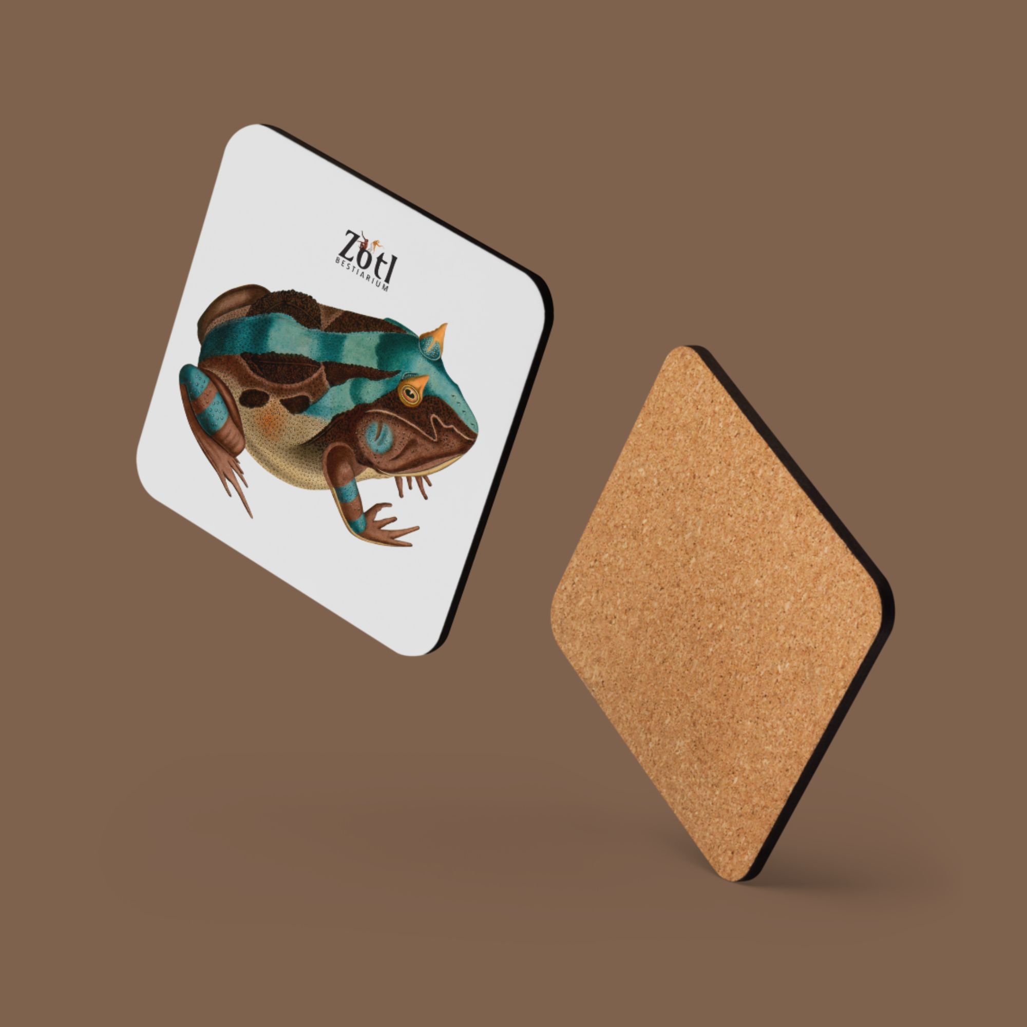 Pacman Frog (male)