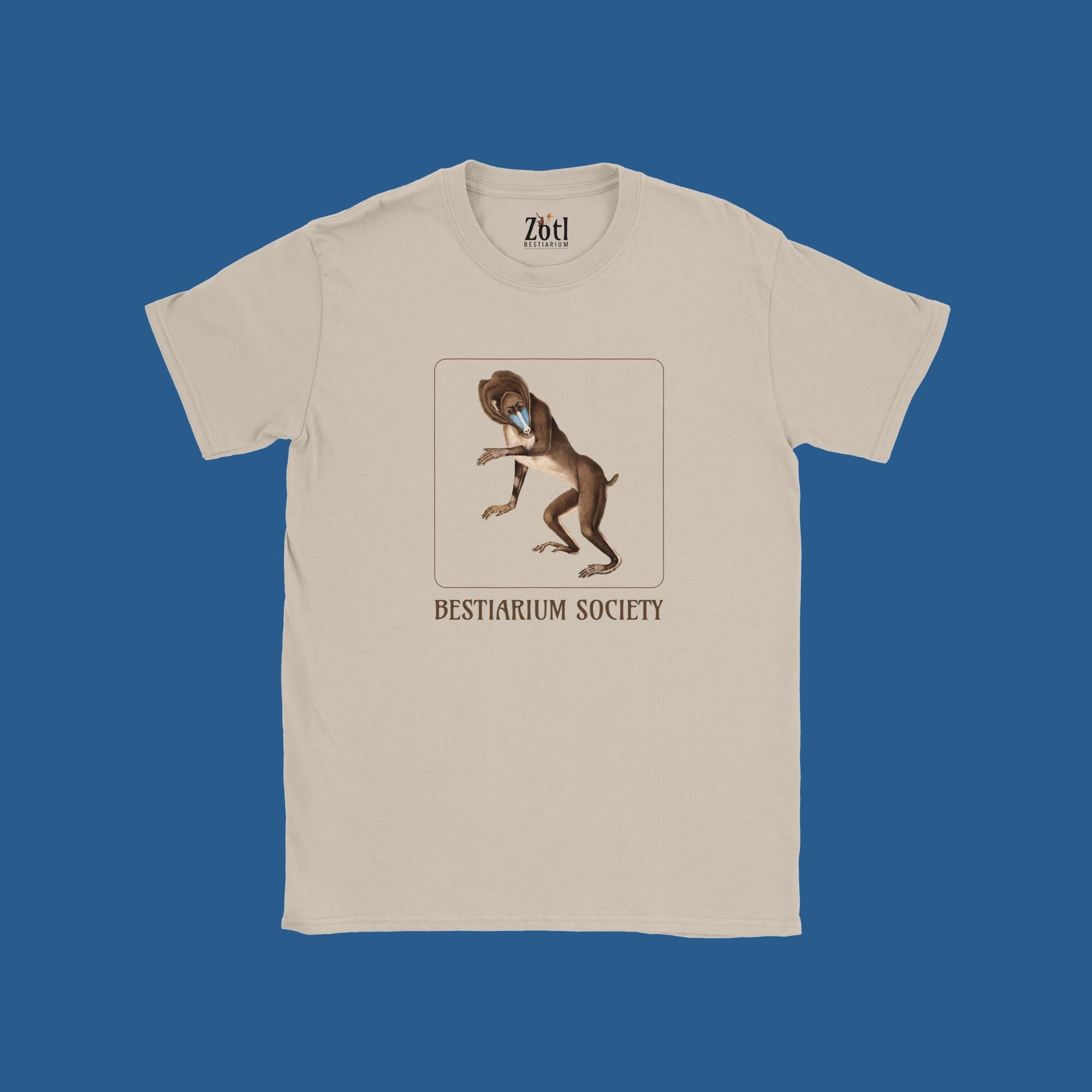 Chacma Baboon
