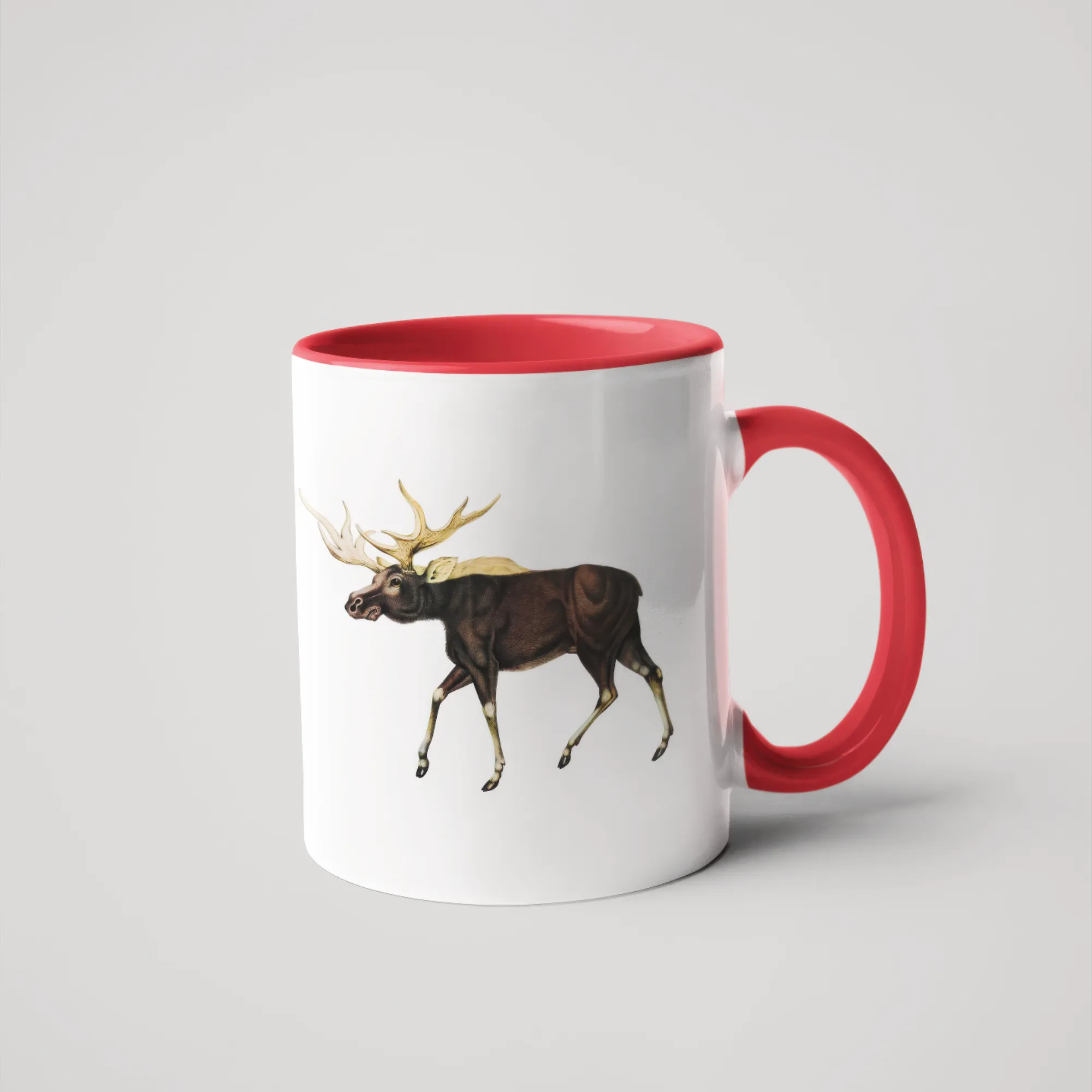 Moose 