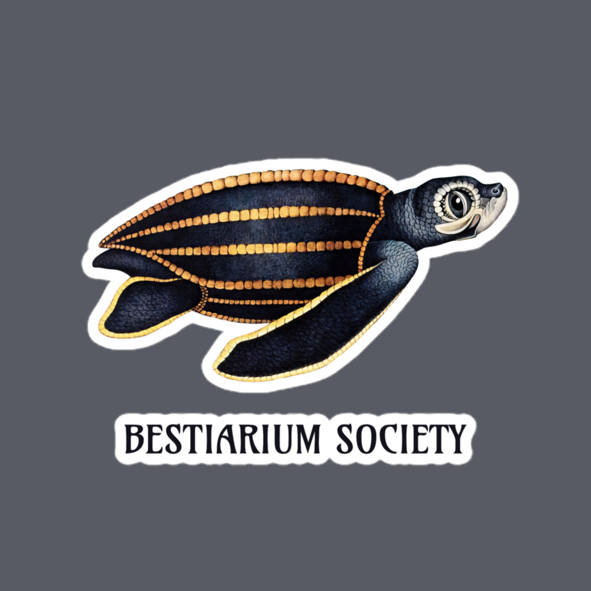 Sea Turtle