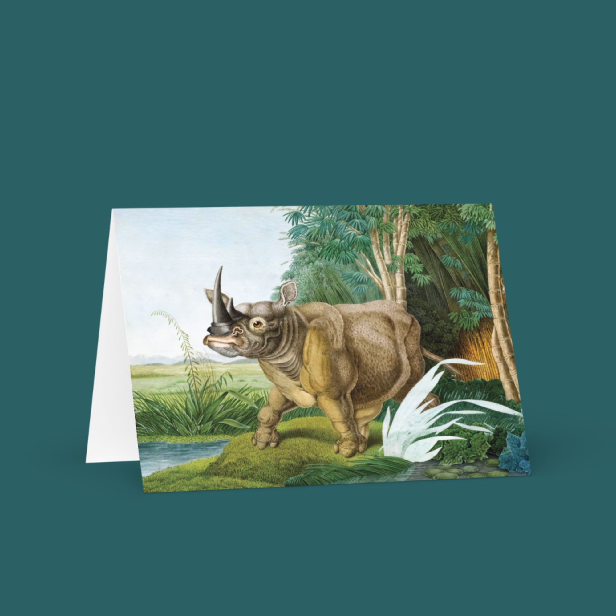 Rhinoceros