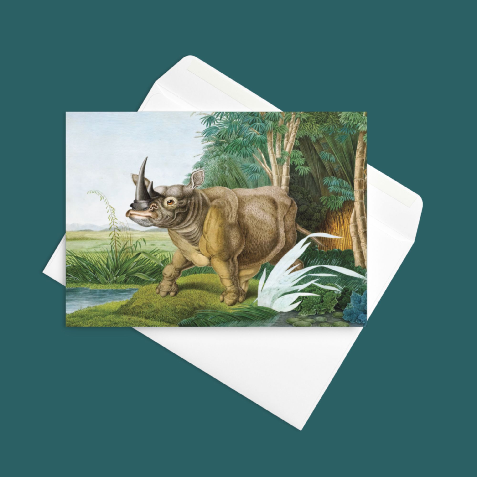 Rhinoceros