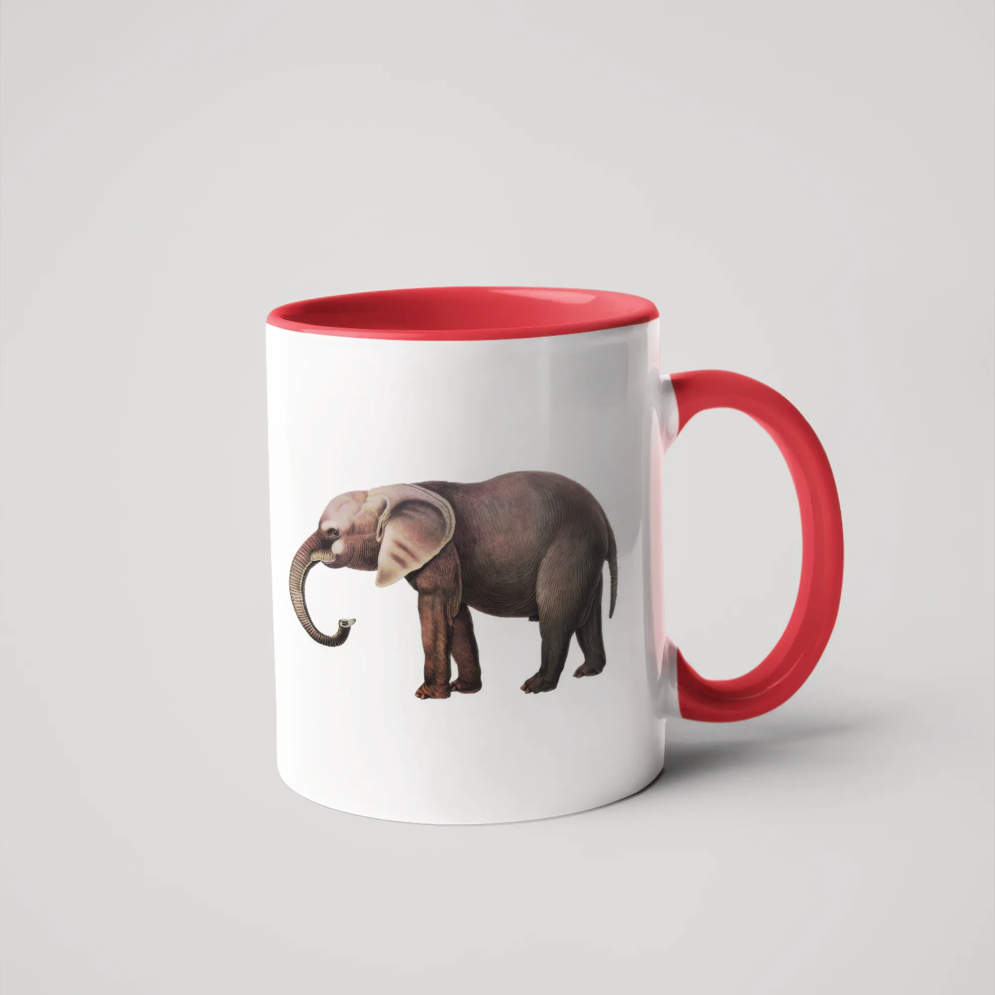 African Elephant