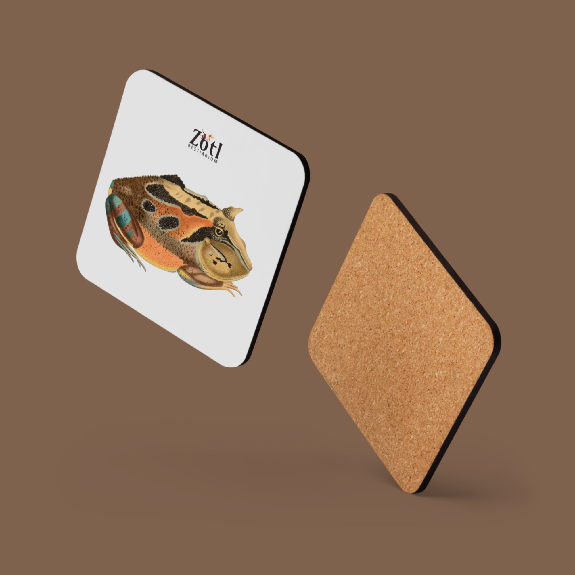 Pacman Frog (female)