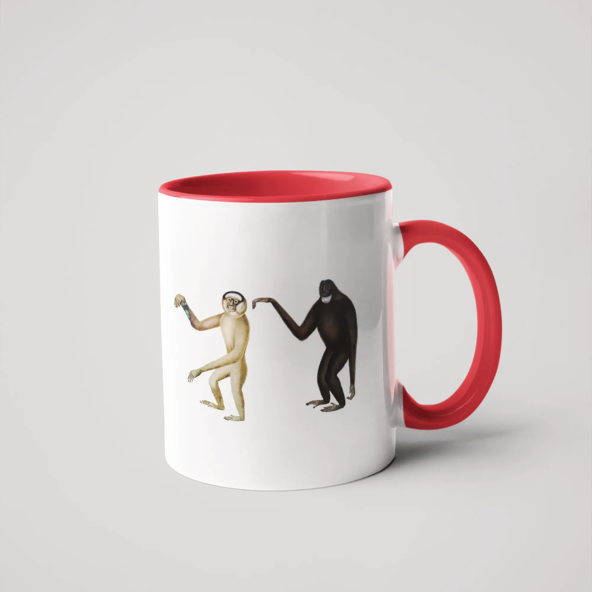 Hoolock Gibbon