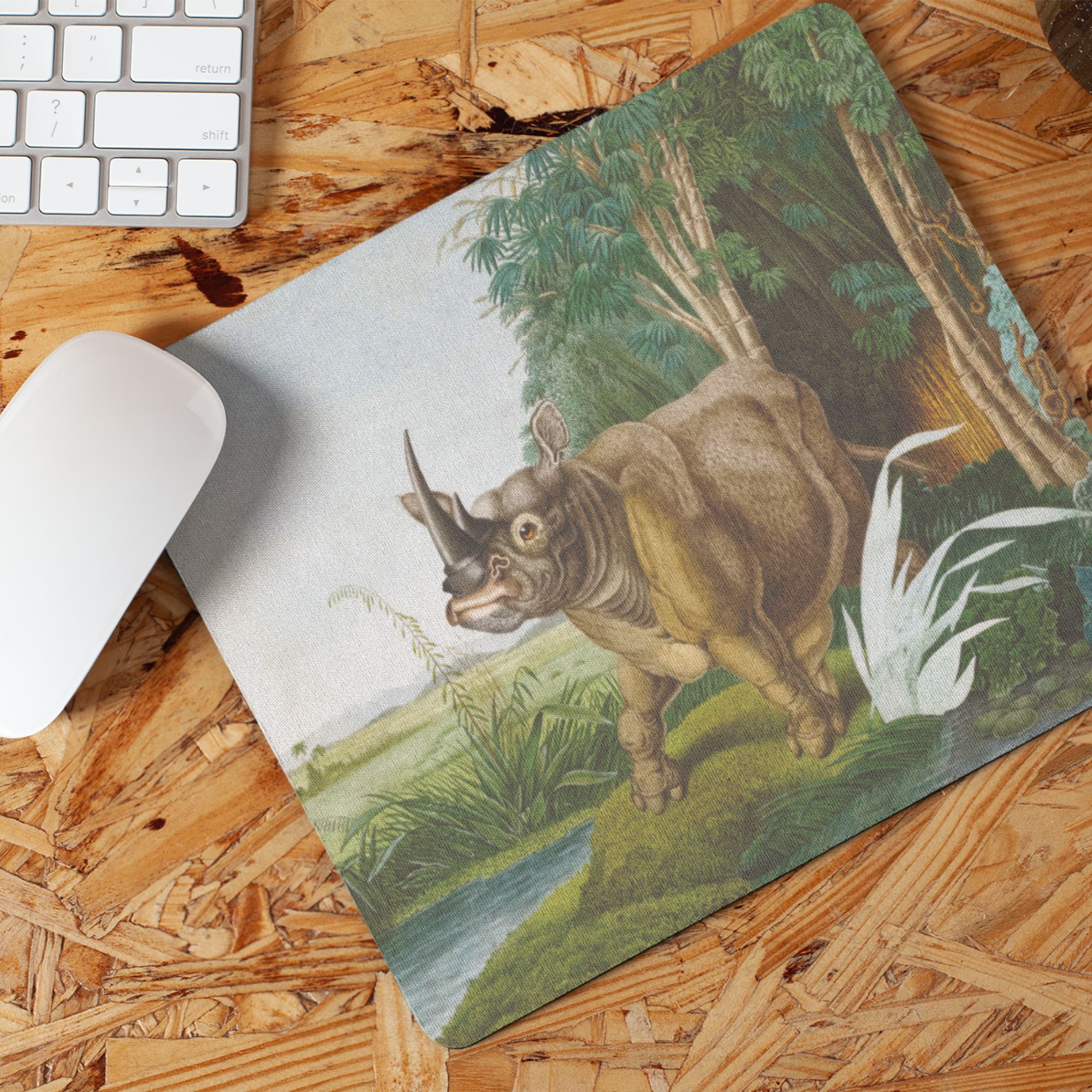 Rhinoceros