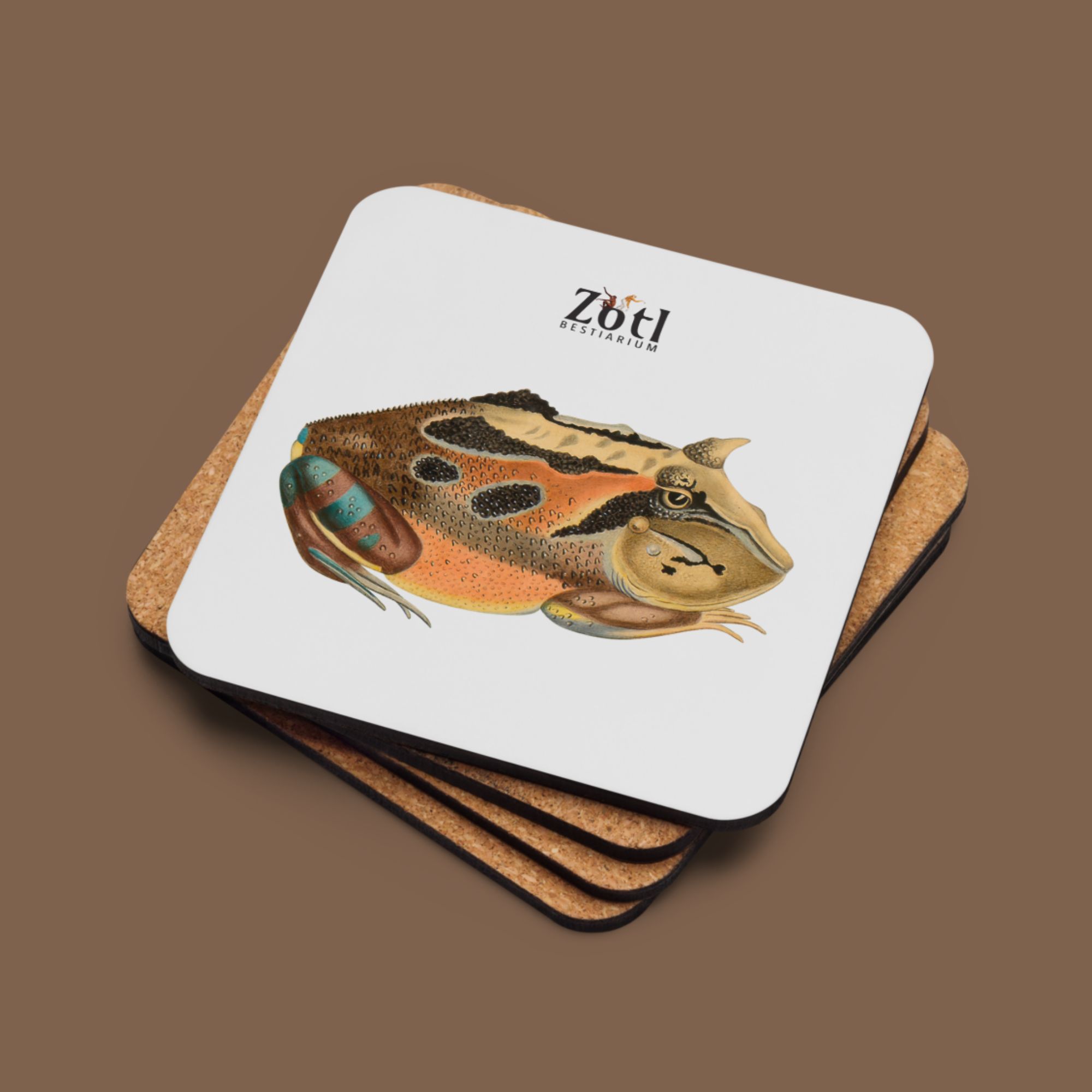 Pacman Frog (female)
