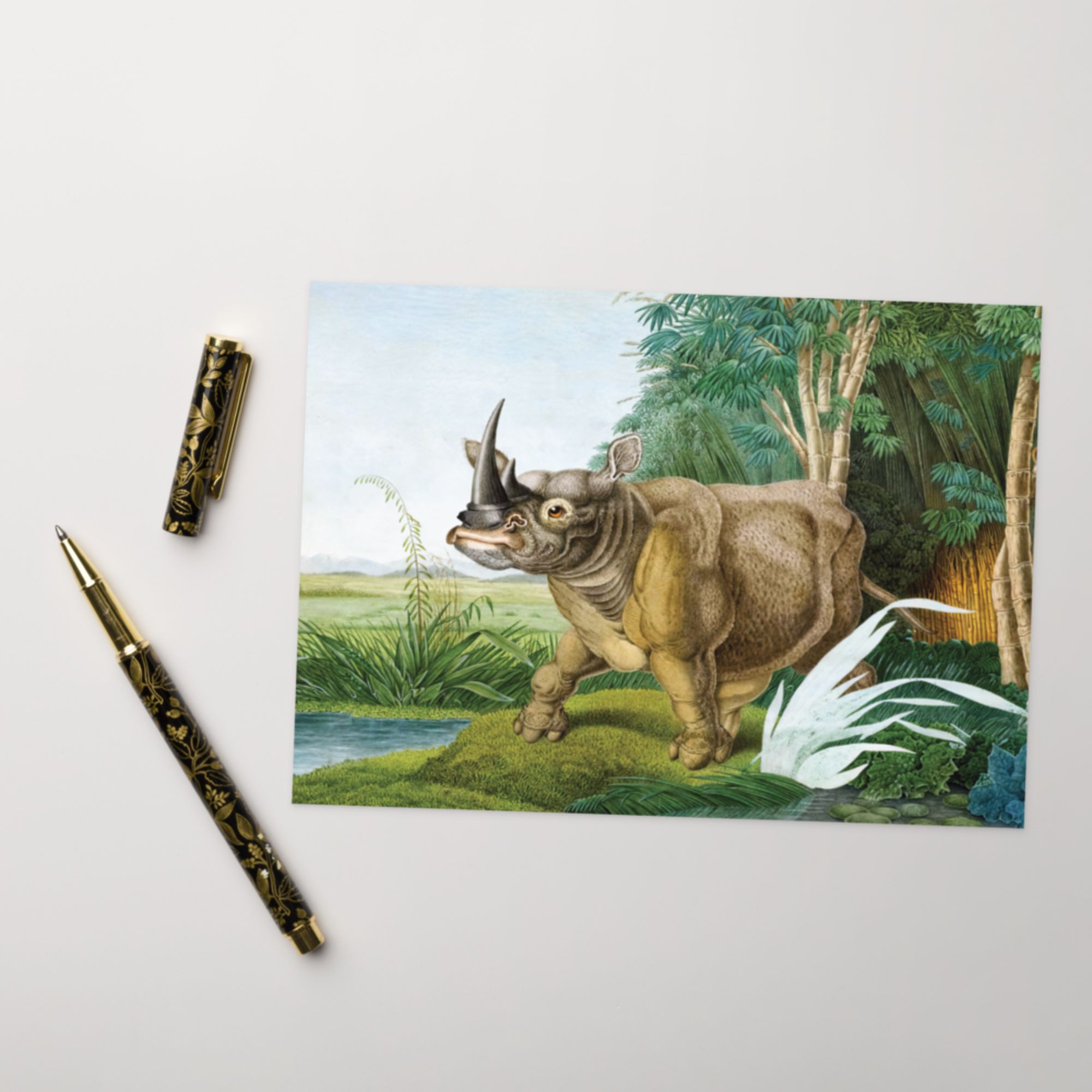 Rhinoceros