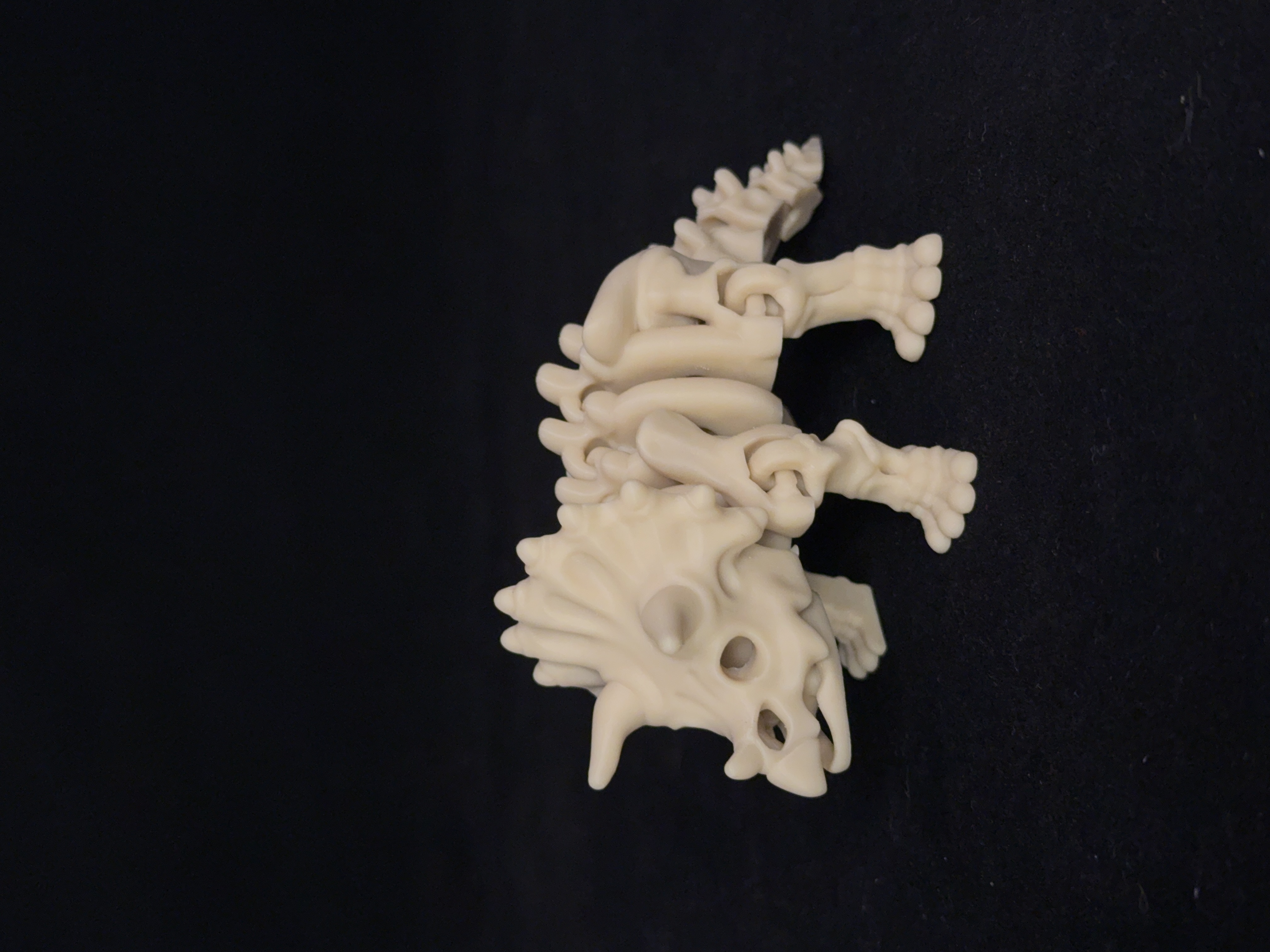 Flexi Triceratops Dinosaurs Skeleton