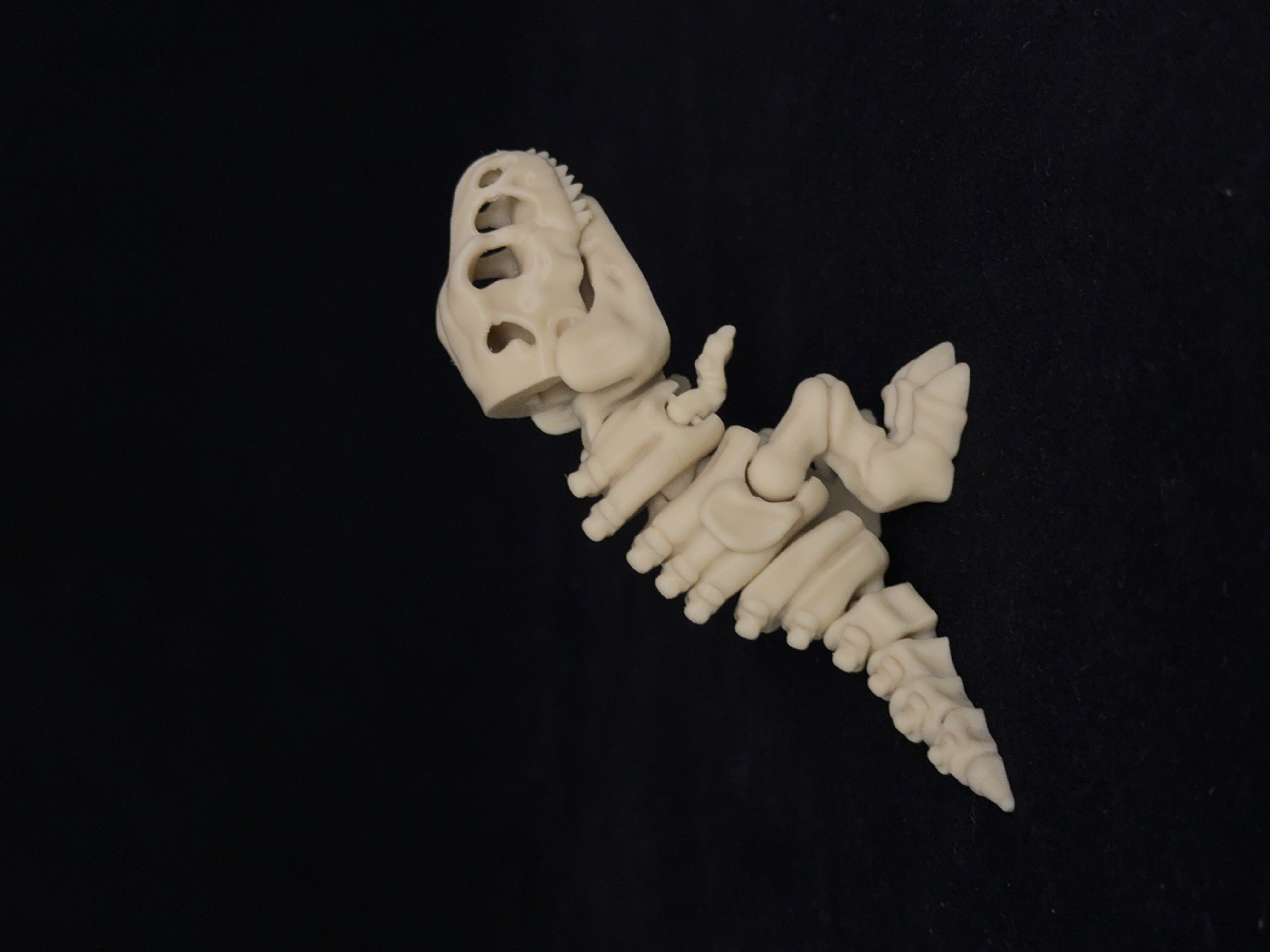 Flexi T-Rex Dinosaurs Skeleton
