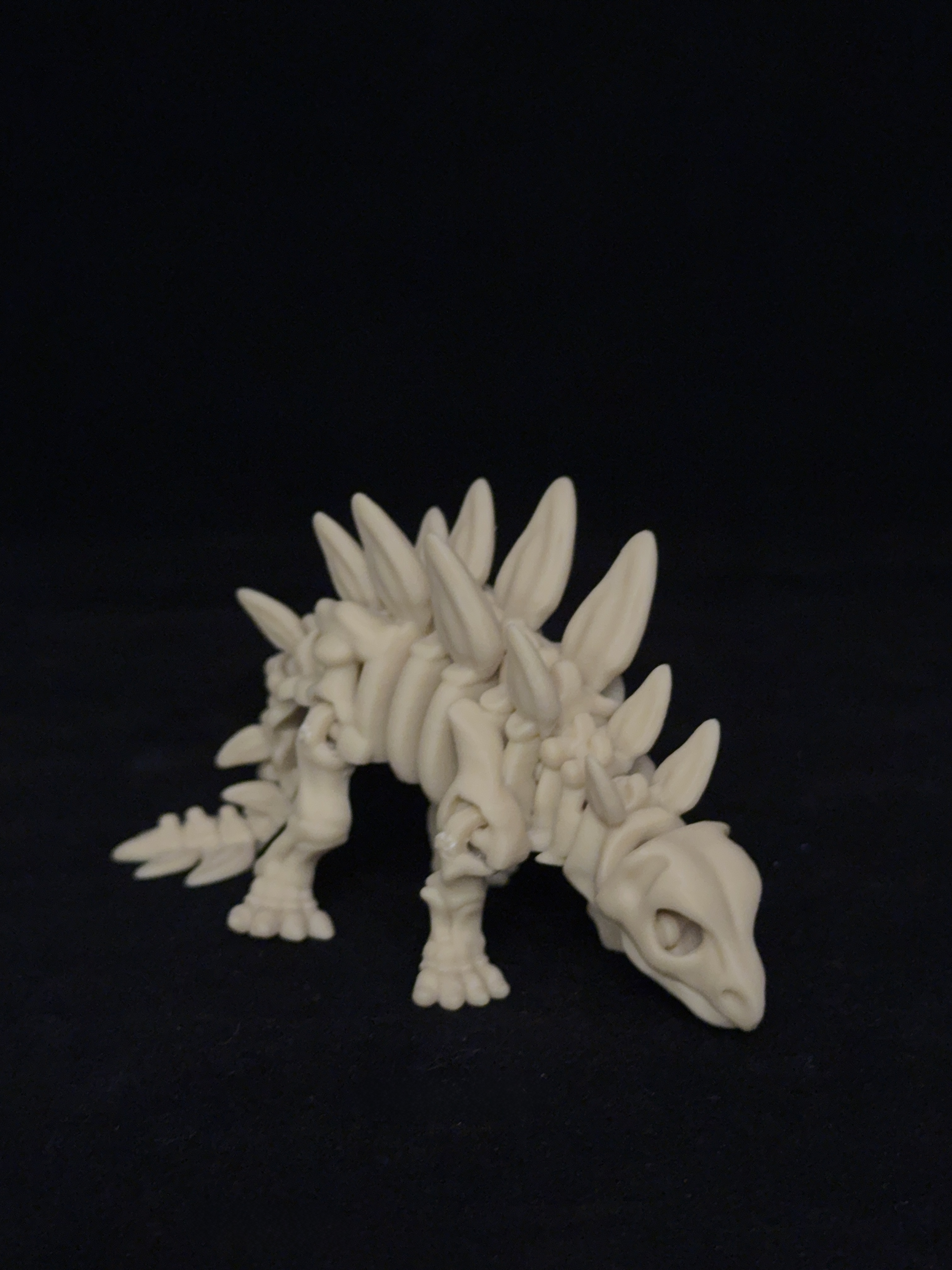 Flexi Stegosaurus Dinosaurs Skeleton