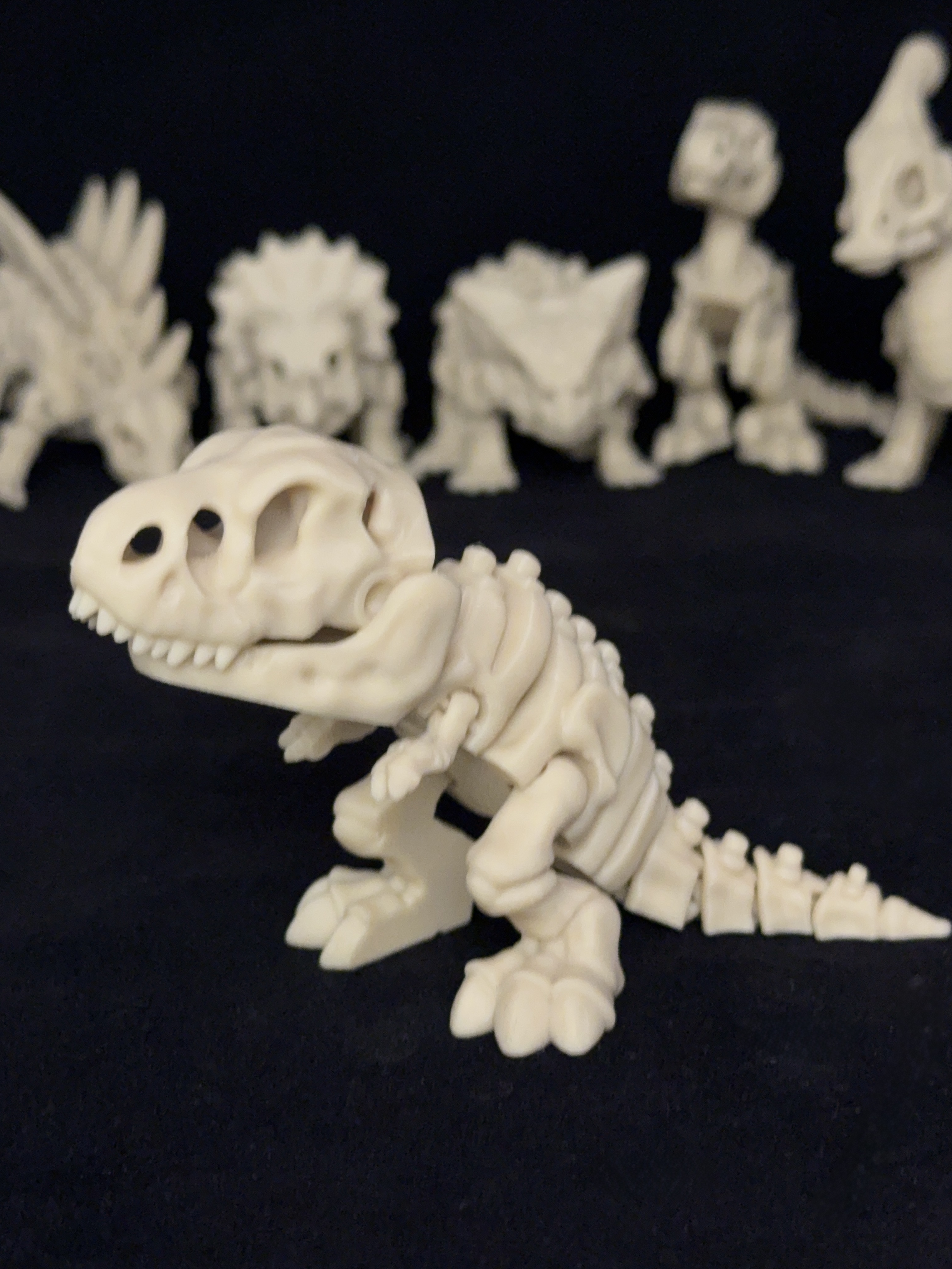 Flexi T-Rex Dinosaurs Skeleton
