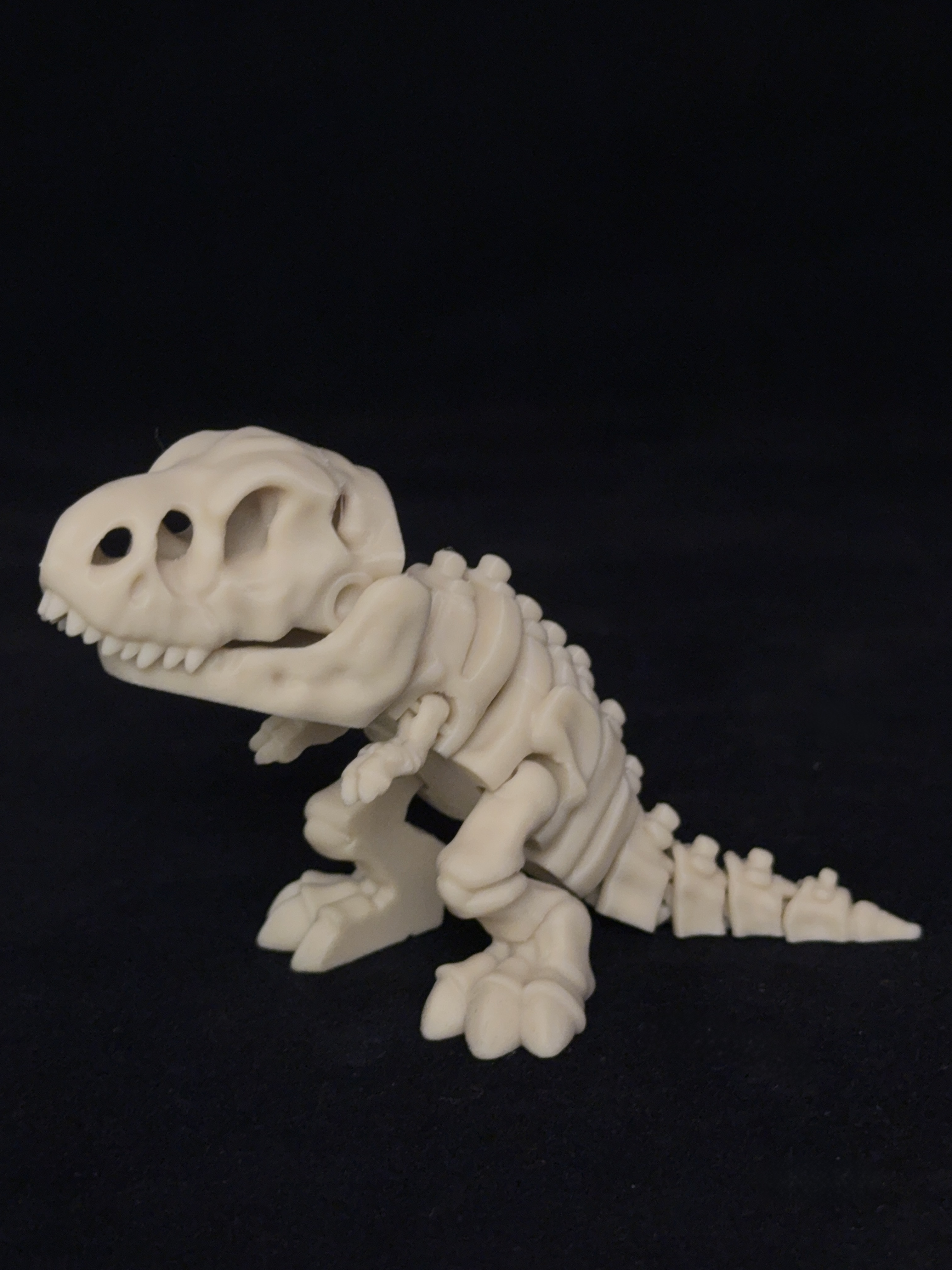 Flexi T-Rex Dinosaurs Skeleton