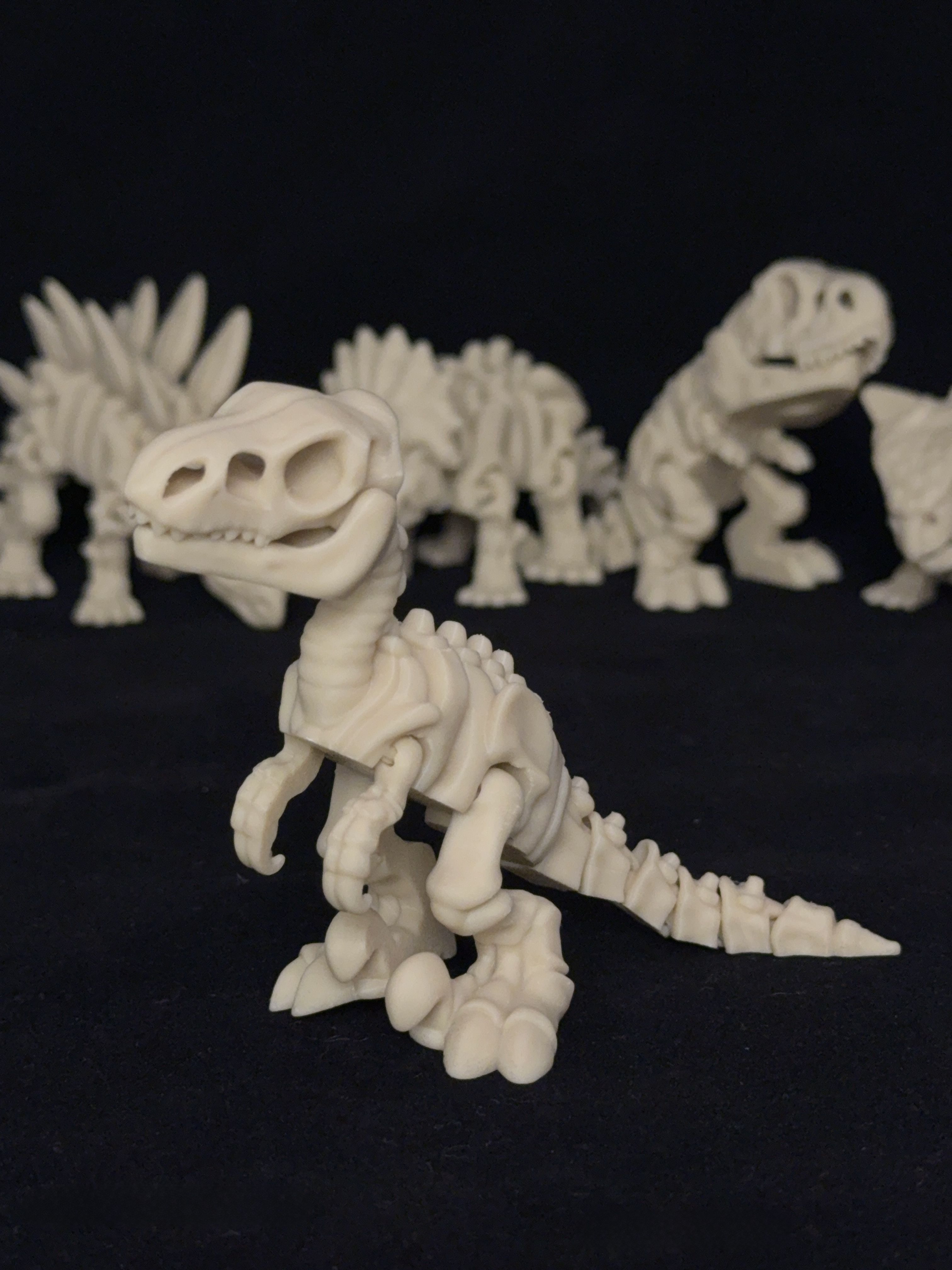 Flexi Velociraptor Dinosaurs Skeleton
