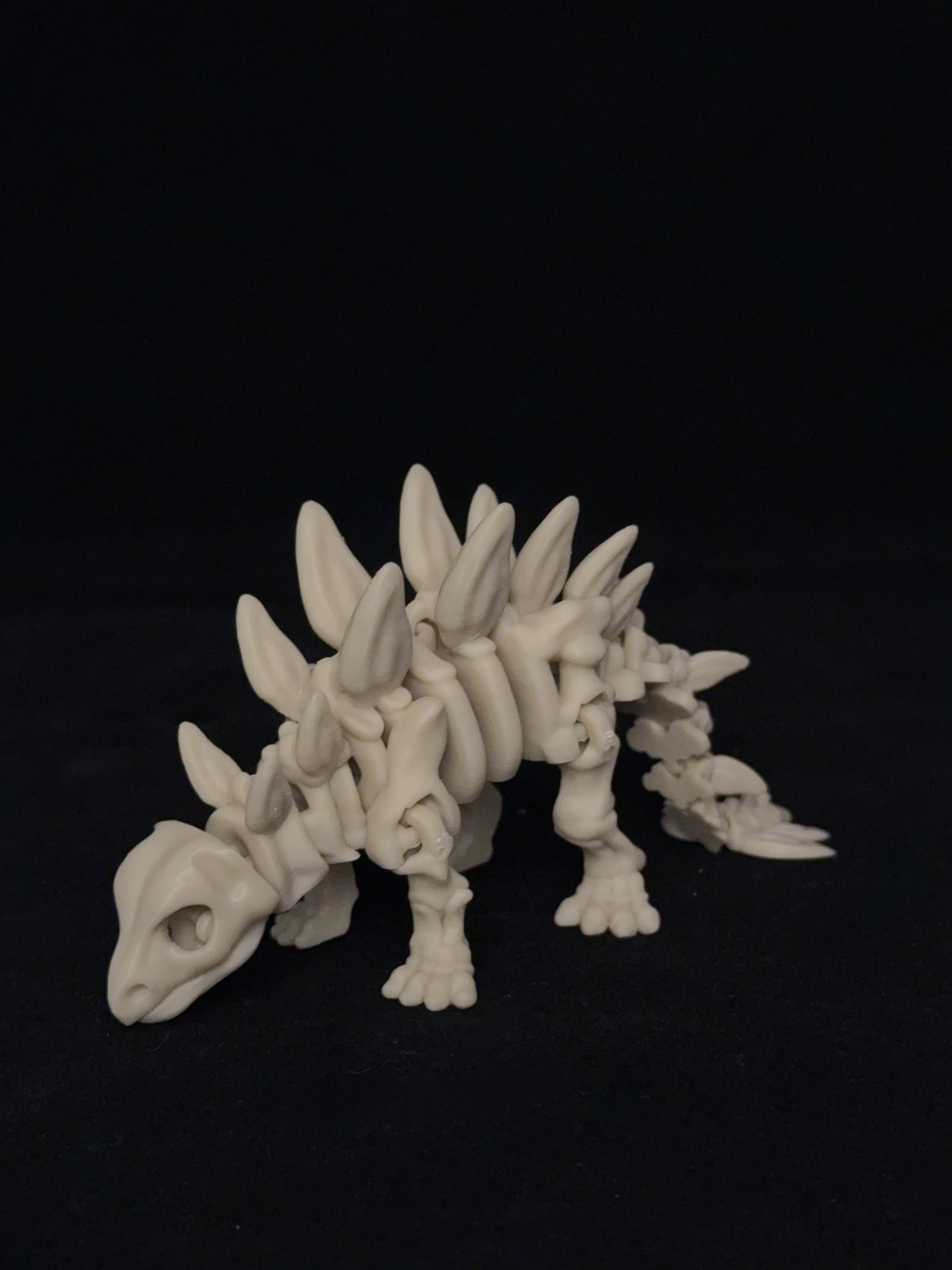 Flexi Stegosaurus Dinosaurs Skeleton