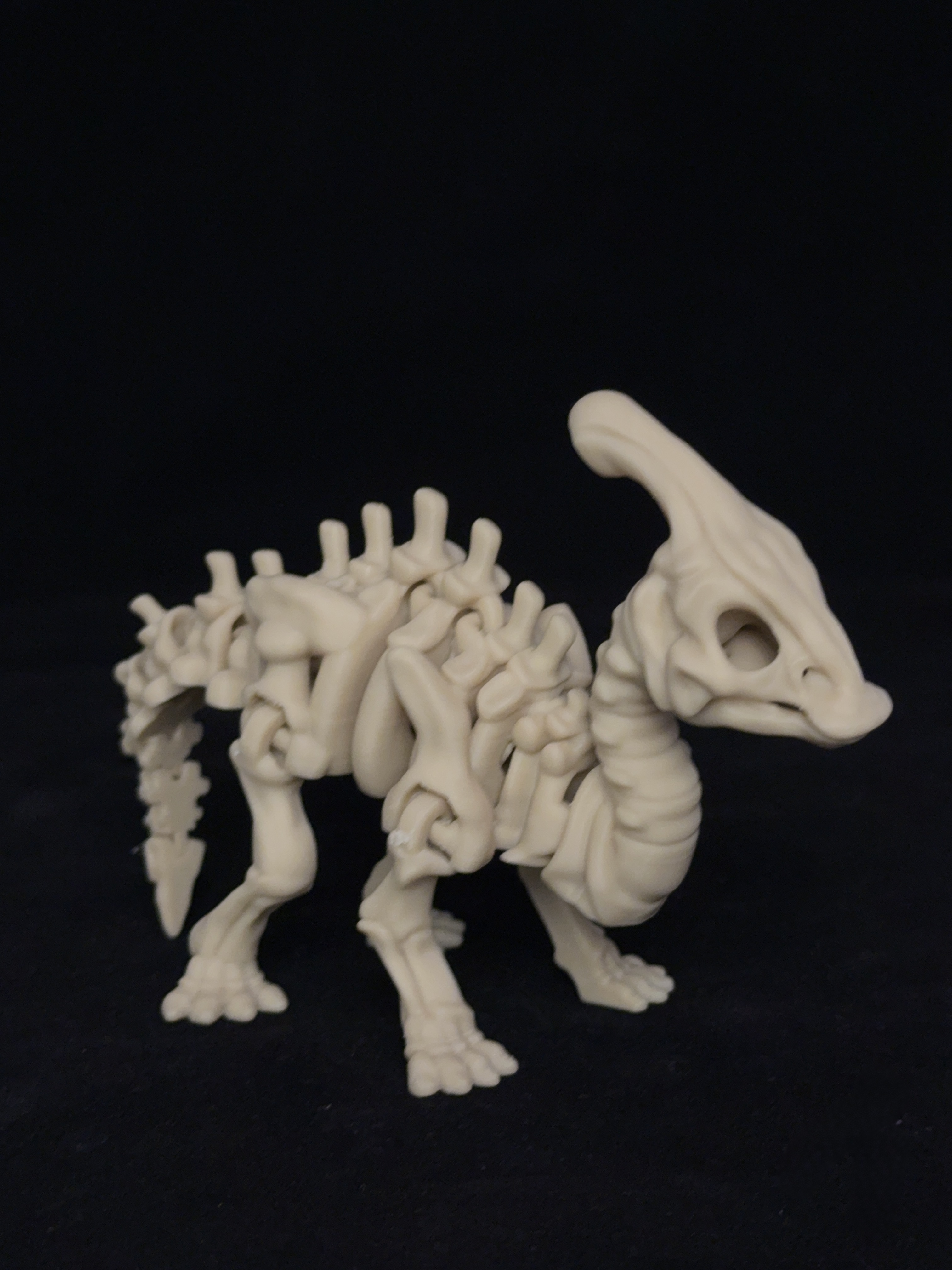 Flexi Parasaurolophus Dinosaurs Skeleton