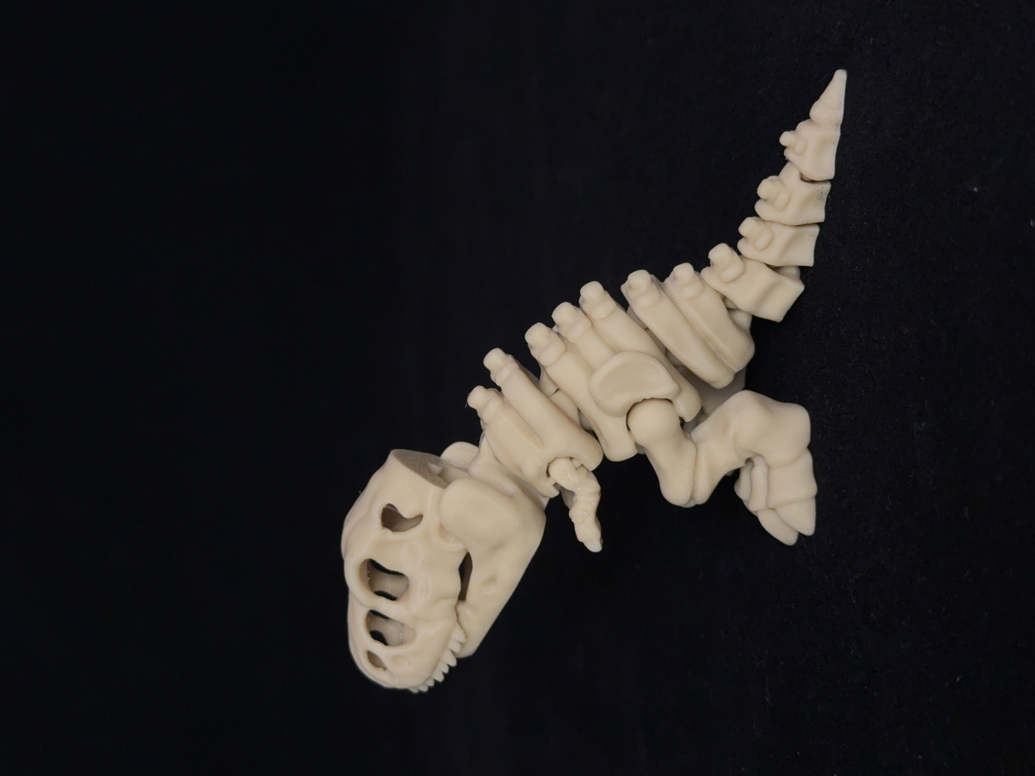 Flexi T-Rex Dinosaurs Skeleton