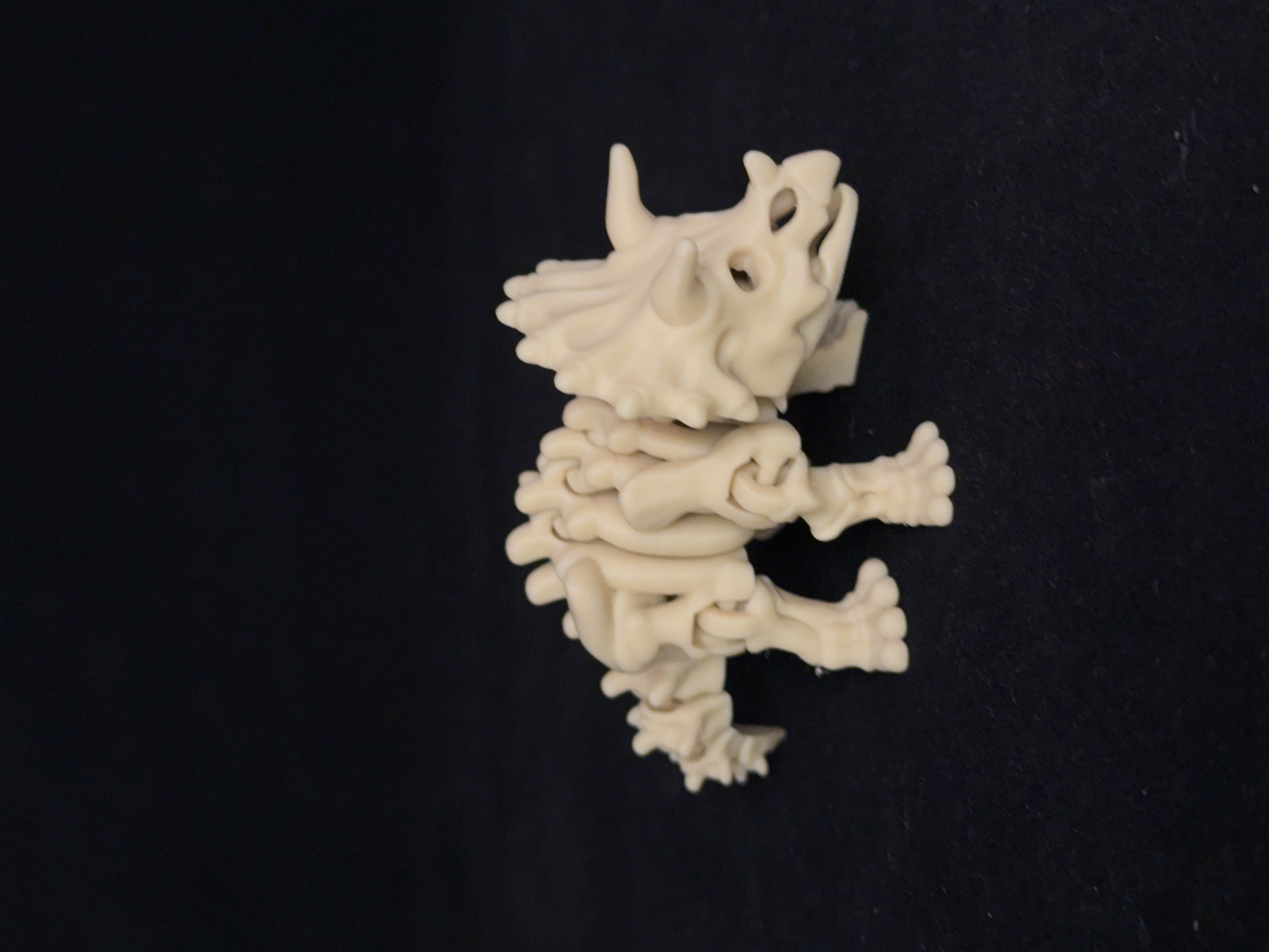 Flexi Triceratops Dinosaurs Skeleton