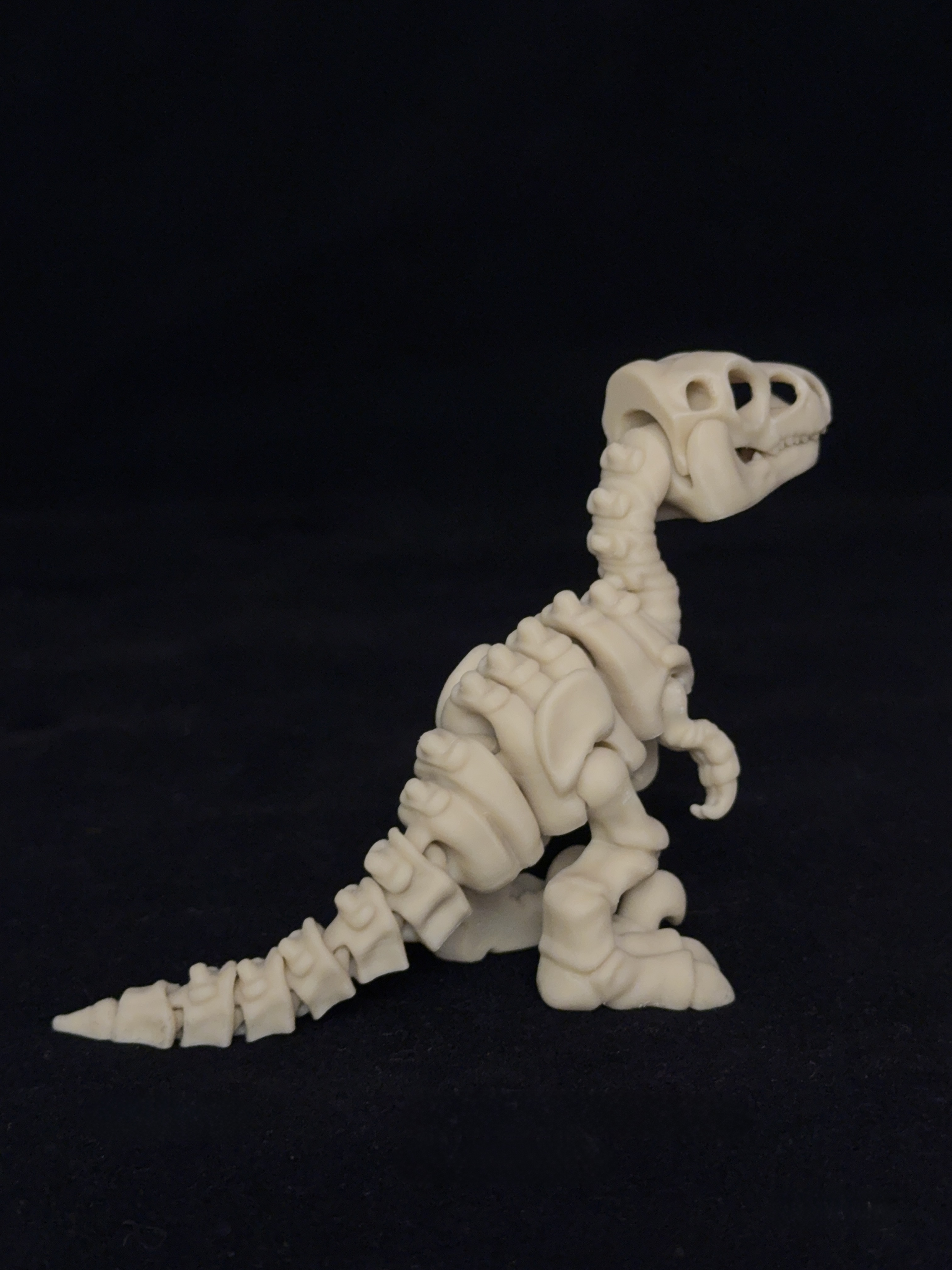 Flexi Velociraptor Dinosaurs Skeleton