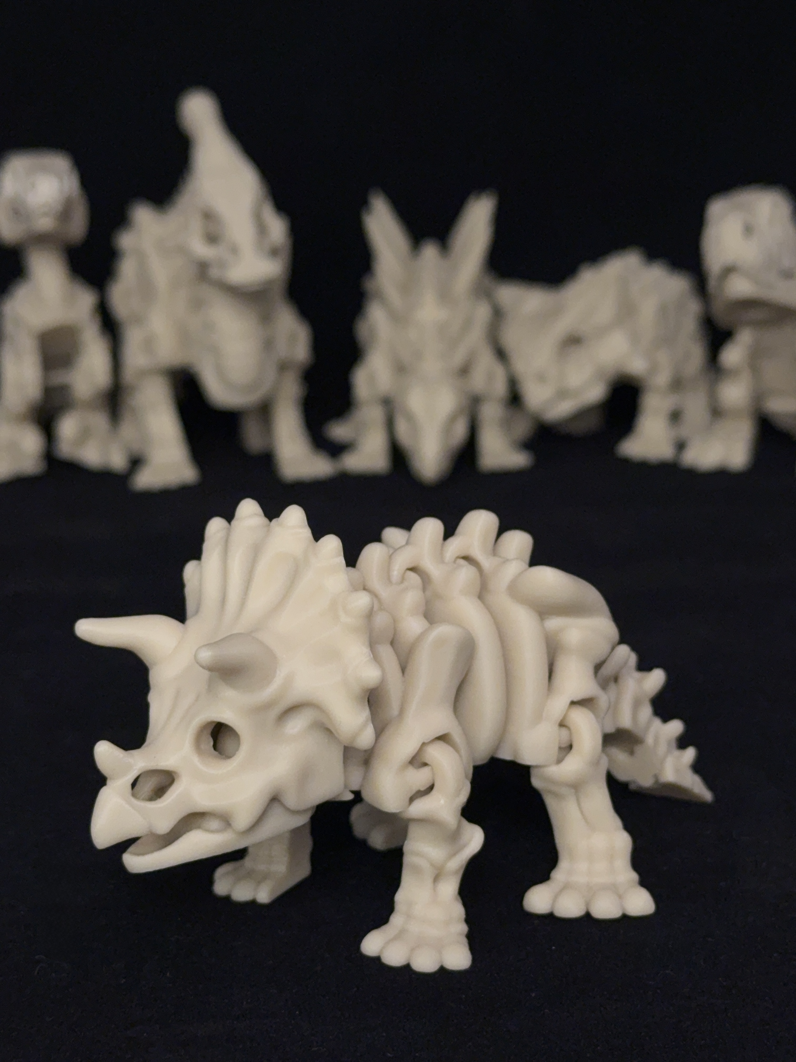 Flexi Triceratops Dinosaurs Skeleton