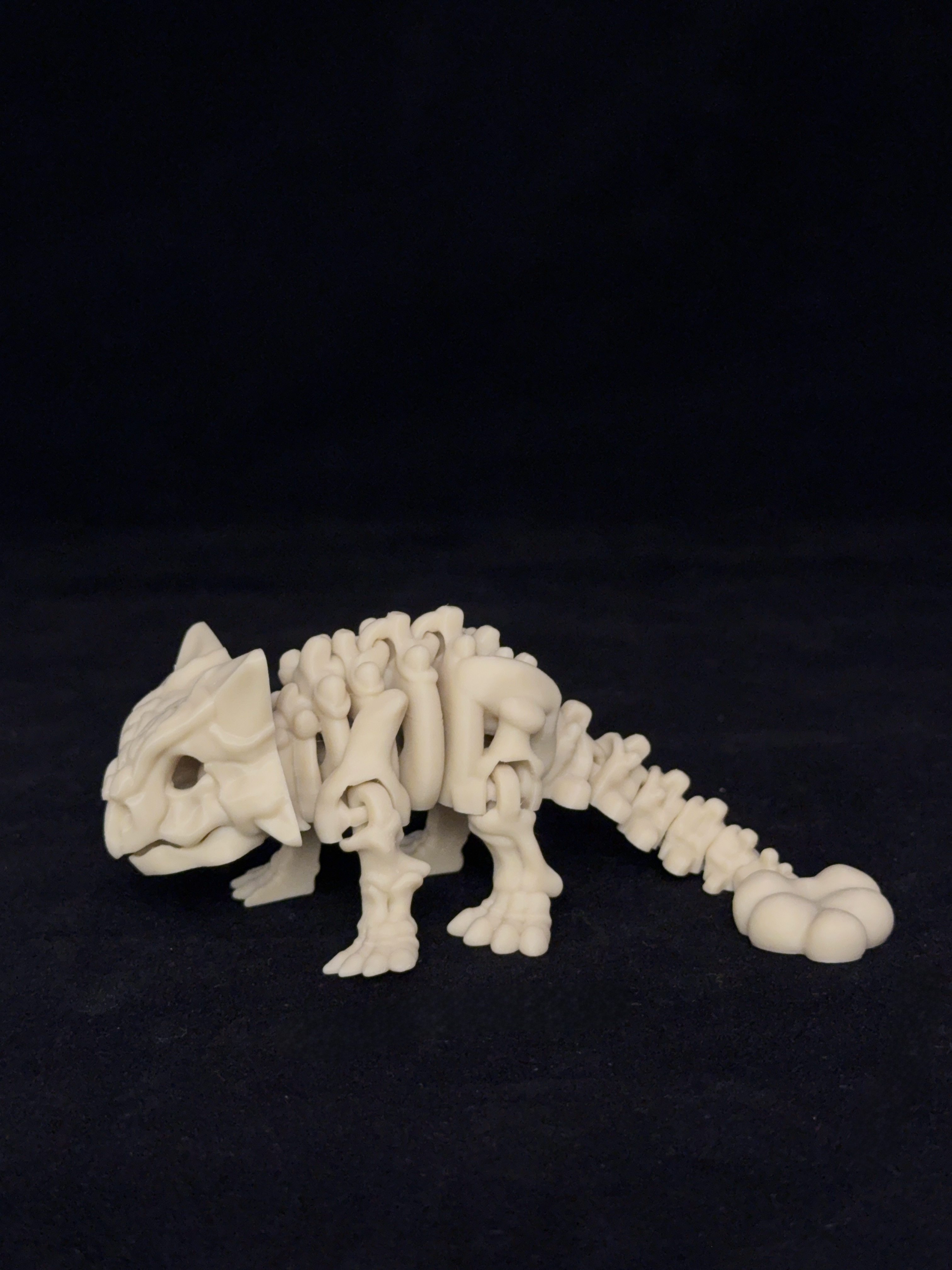 Flexi Ankylosaurus Dinosaurs Skeleton