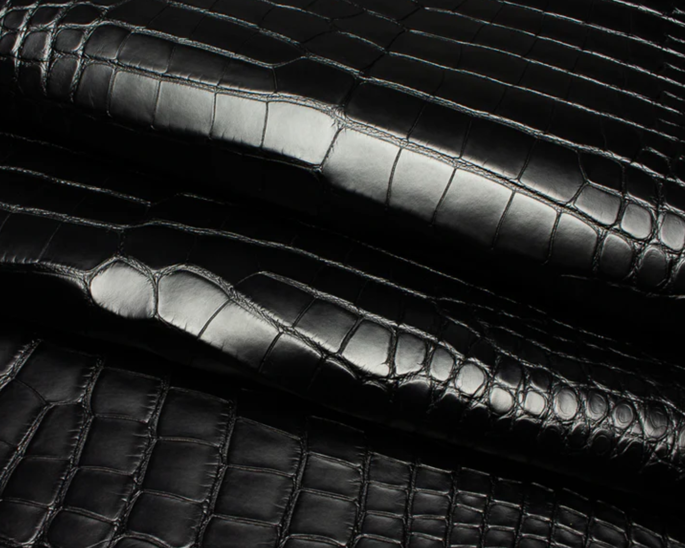 Black Croc Embossed Leather with Glossy Finish