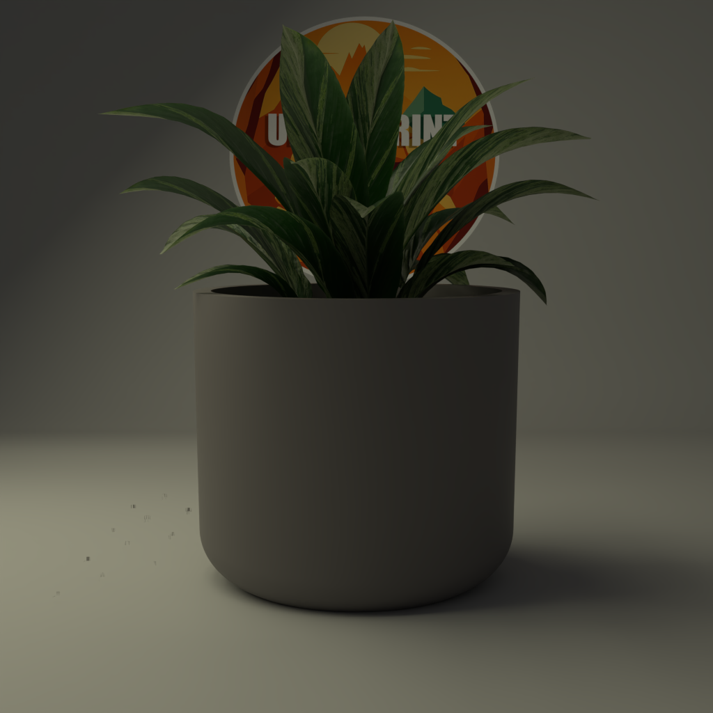 Jardinière Minimaliste Ovale Classique