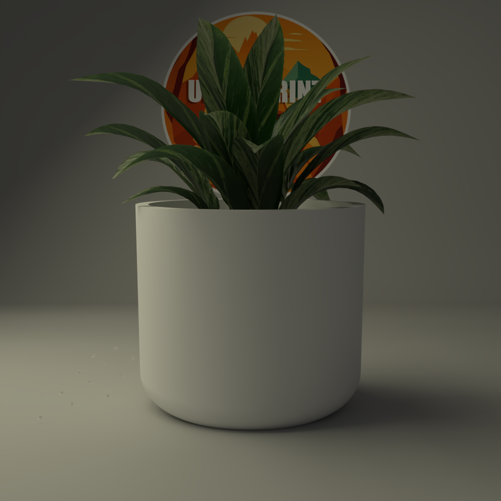 Jardinière Minimaliste Ovale Classique