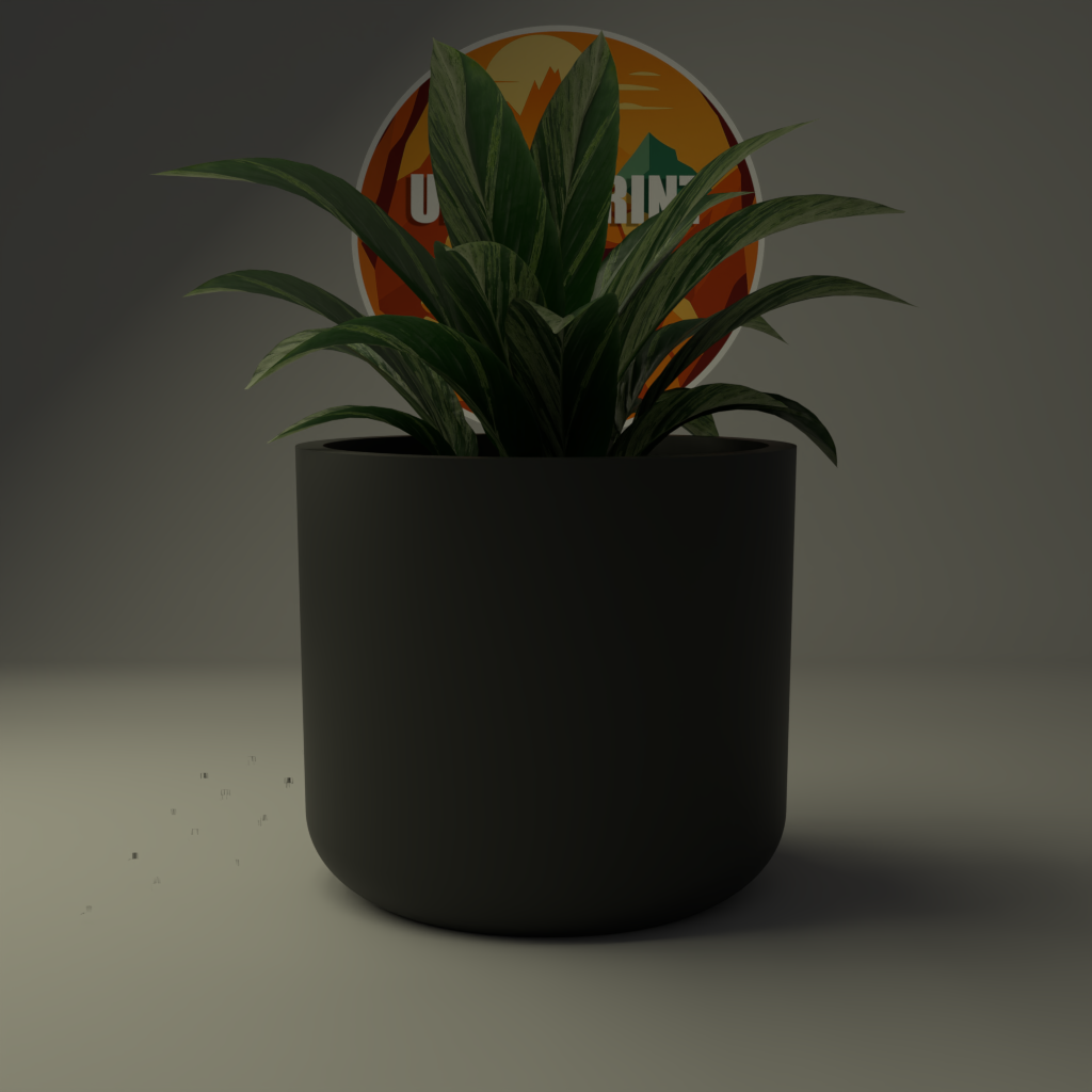 Jardinière Minimaliste Ovale Classique