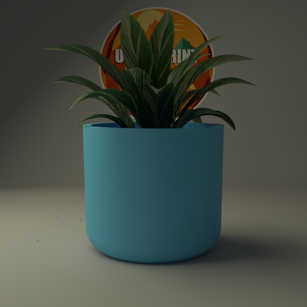 Jardinière Minimaliste Ovale Classique