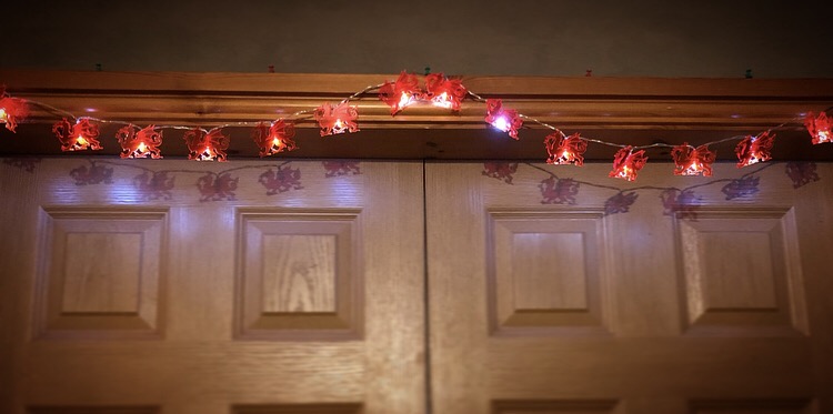 Goleuadau’r Ddraig | Dragon Lights