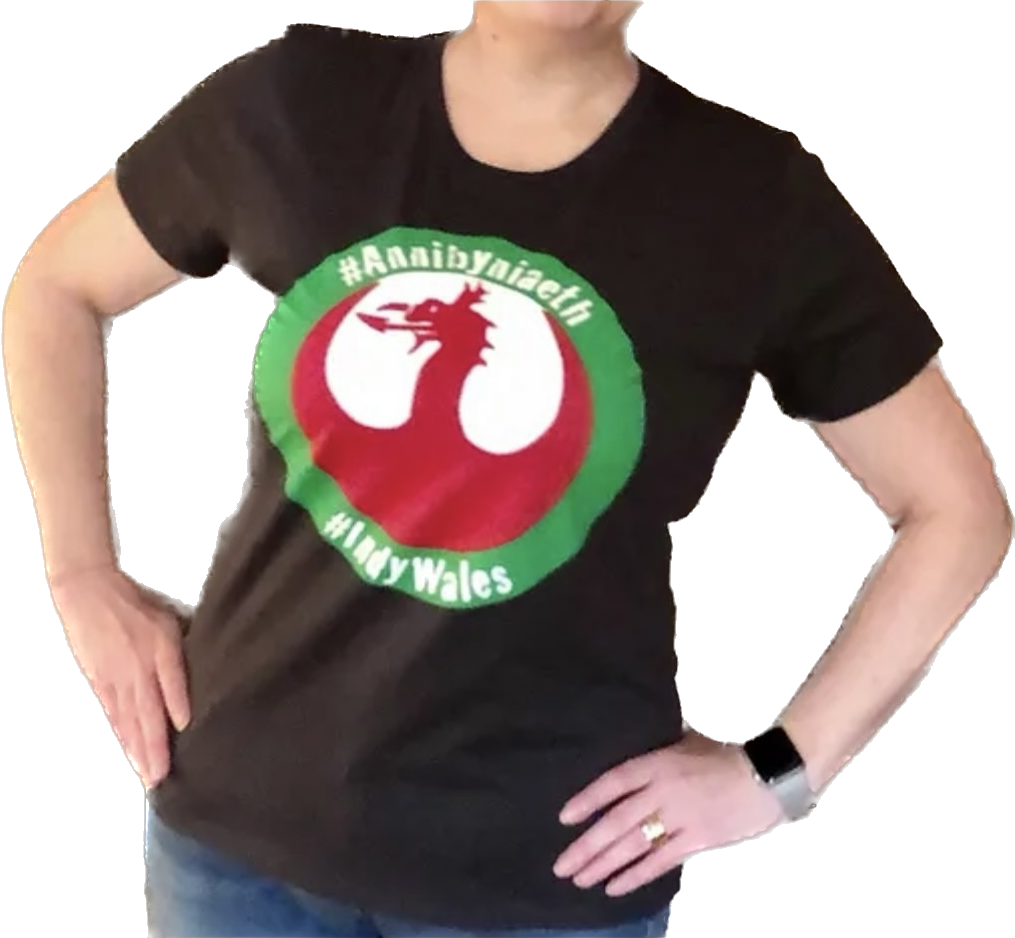 Crys-T Menywod Rebel Dragon Women’s T-Shirt