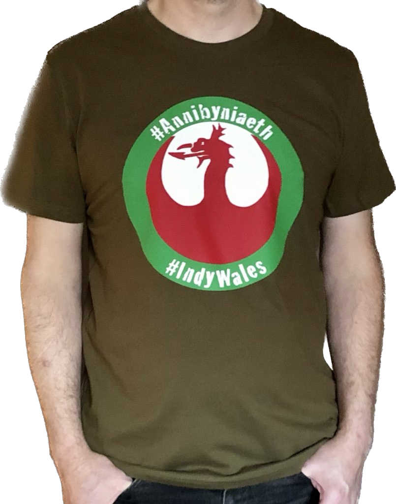 Crys-T Rebel Dragon ‘Creator’ Unisex T-shirt