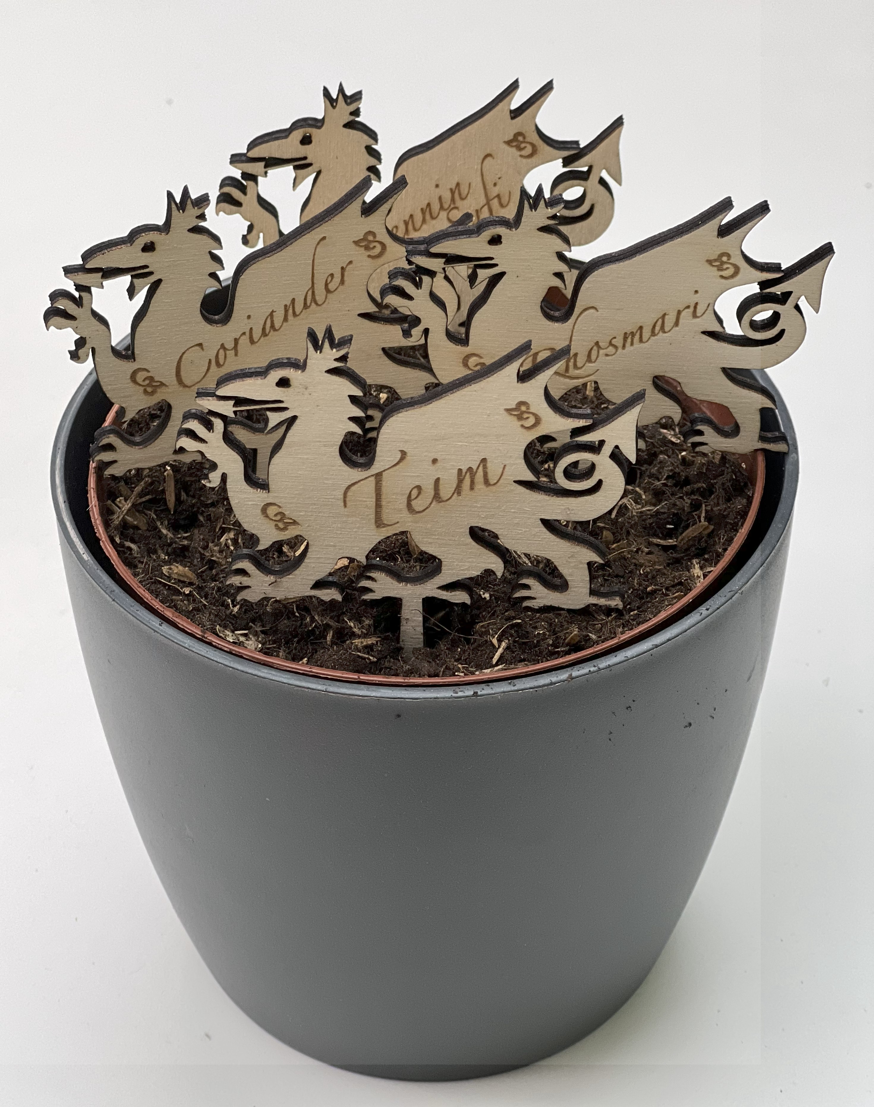 Set of Dragon Plant/ Herb Markers | Pecyn o Labeli Planhigyn/ Perlysiau'r Ddraig