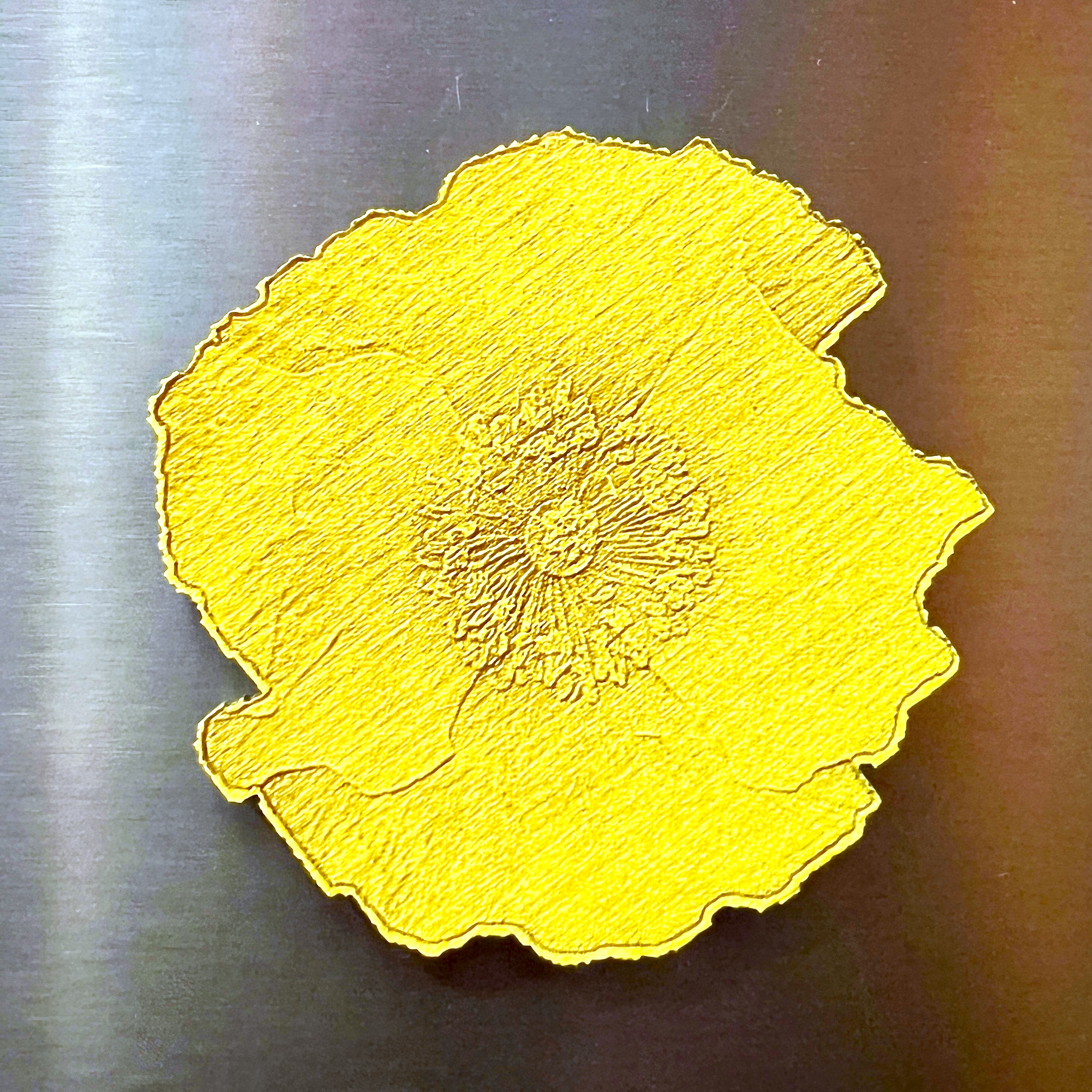 Magnet Oergell y Pabi Cymreig | Welsh Poppy Fridge Magnet