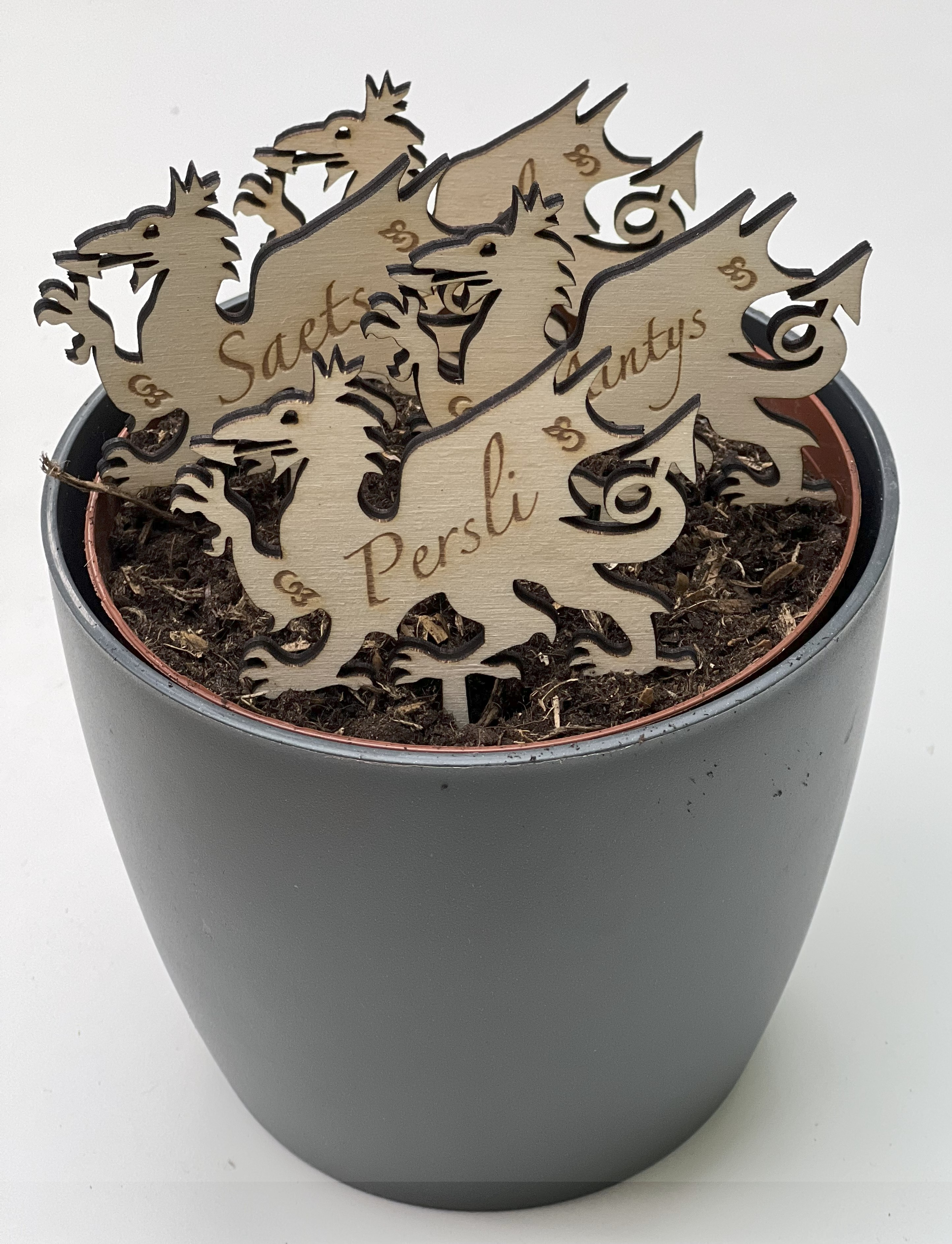 Set of Dragon Plant/ Herb Markers | Pecyn o Labeli Planhigyn/ Perlysiau'r Ddraig
