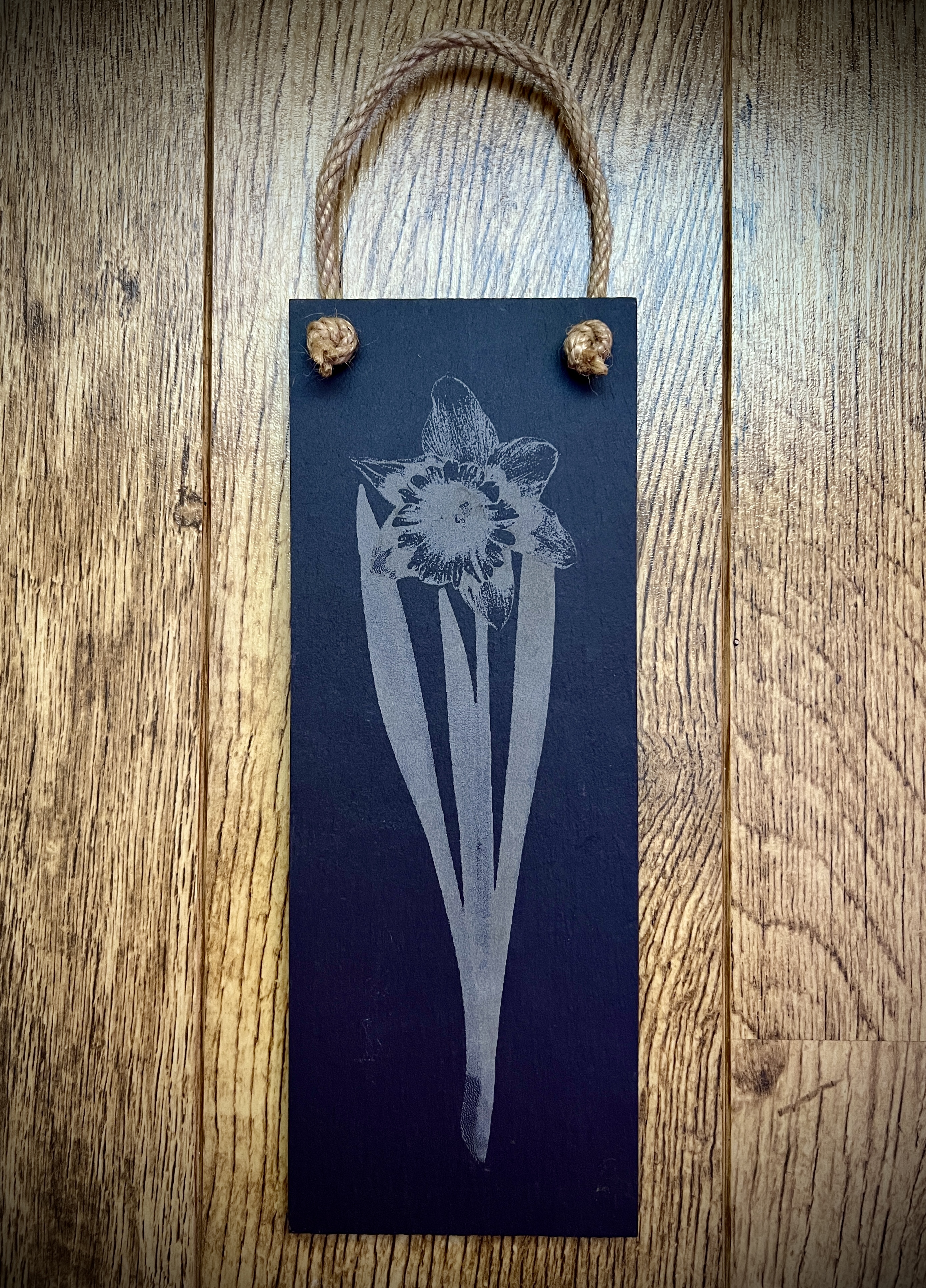 Cenhinen Bedr ar Llechi Gymreig | Daffodil engraved on Welsh Slate