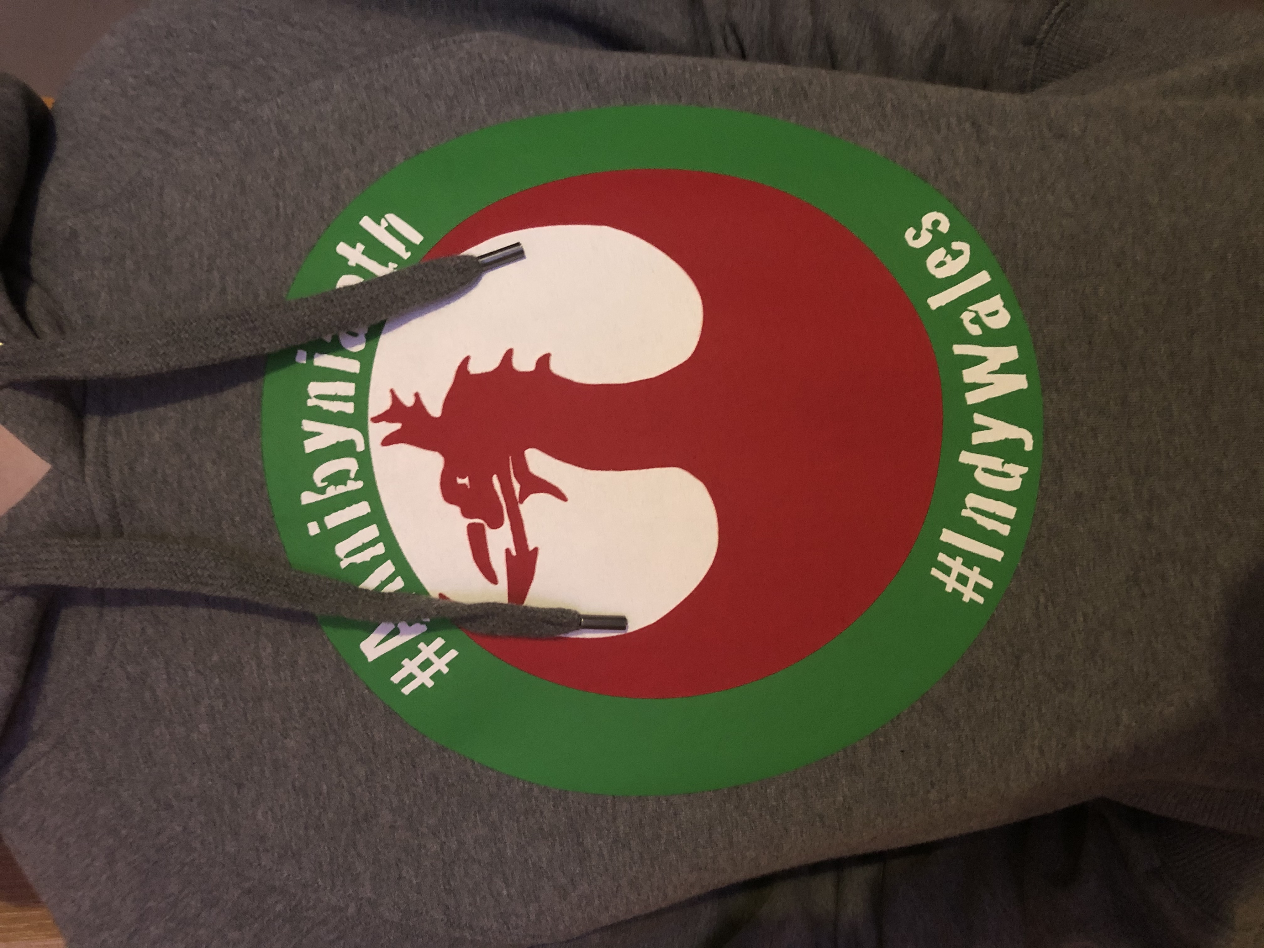 Hwdi Unisex Rebel Dragon Unisex Hoodie