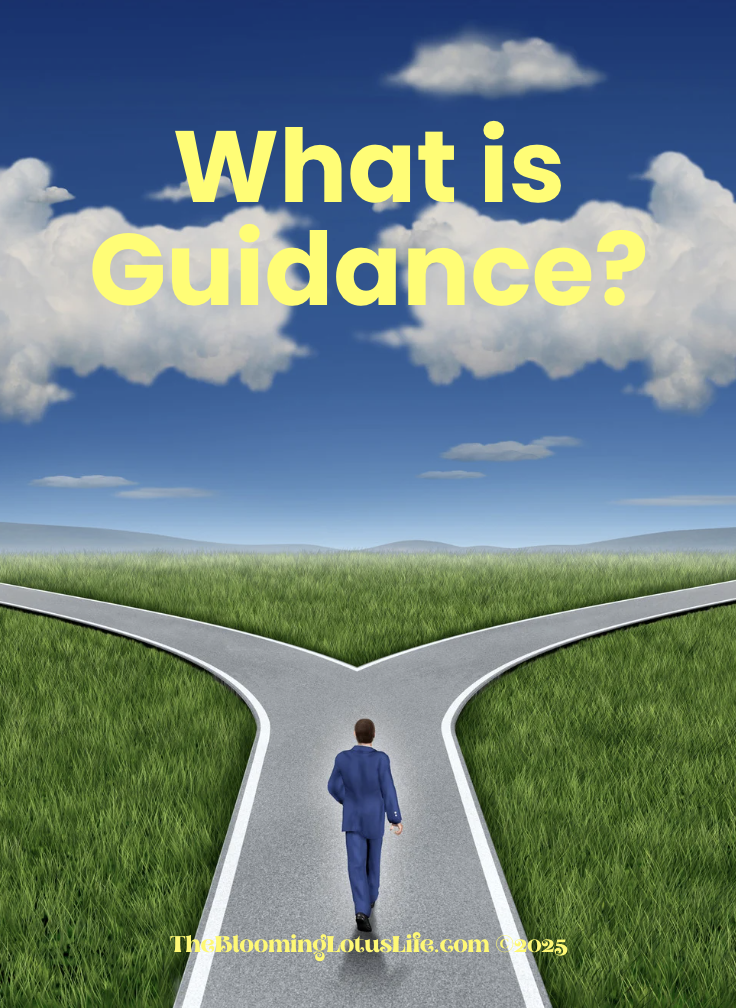 What is Guidance?