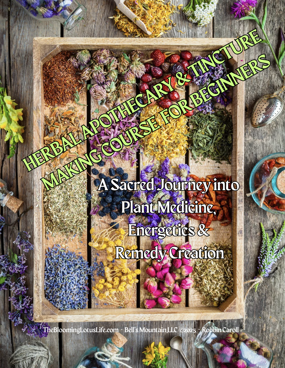 Beginner’s Tincture Course